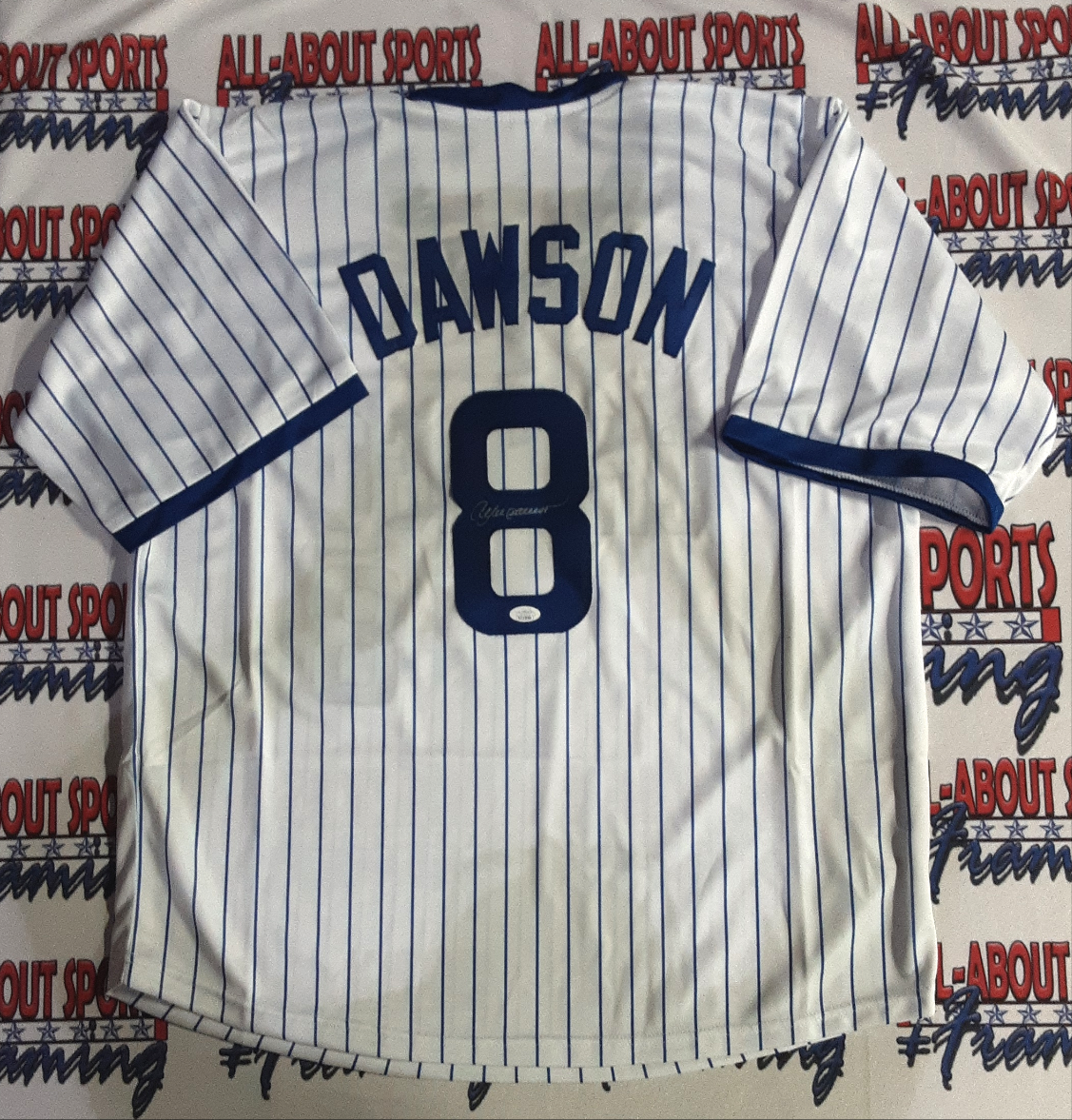 Andre Dawson Authentic Signed Pro Style Jersey Autographed JSA-