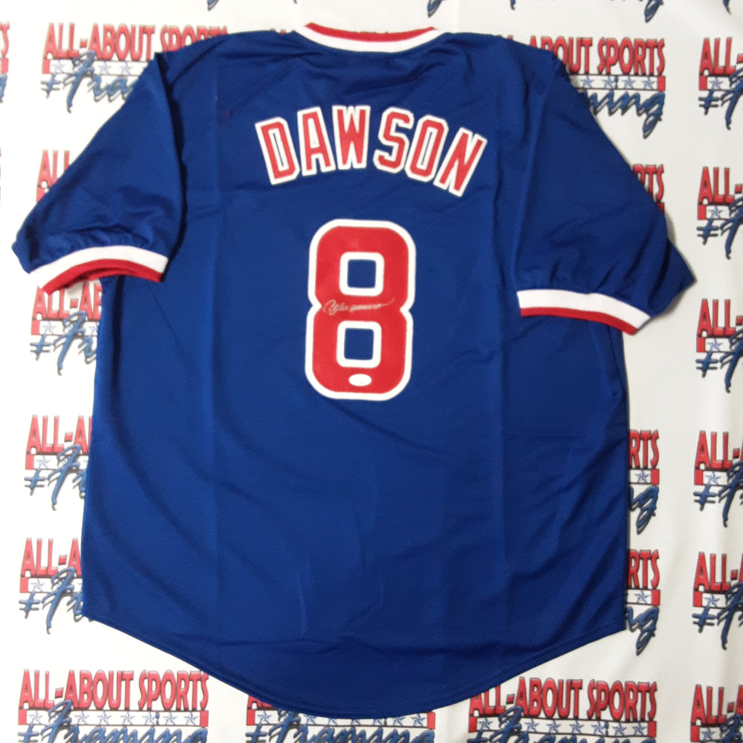 Andre Dawson (Cubs blue tower) Signed Autographed Framed Jersey JSA coa