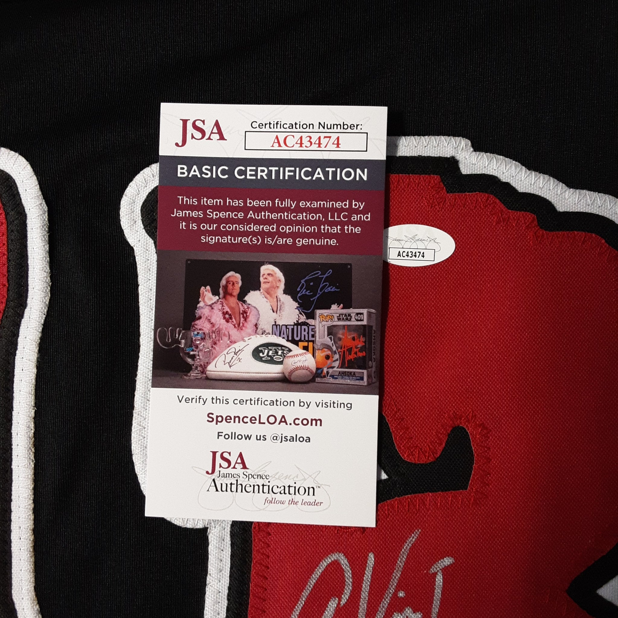 Alex Vincent and Ed Gale Celebrity Actor Authentic Signed Pro Style Jersey Autographed JSA-