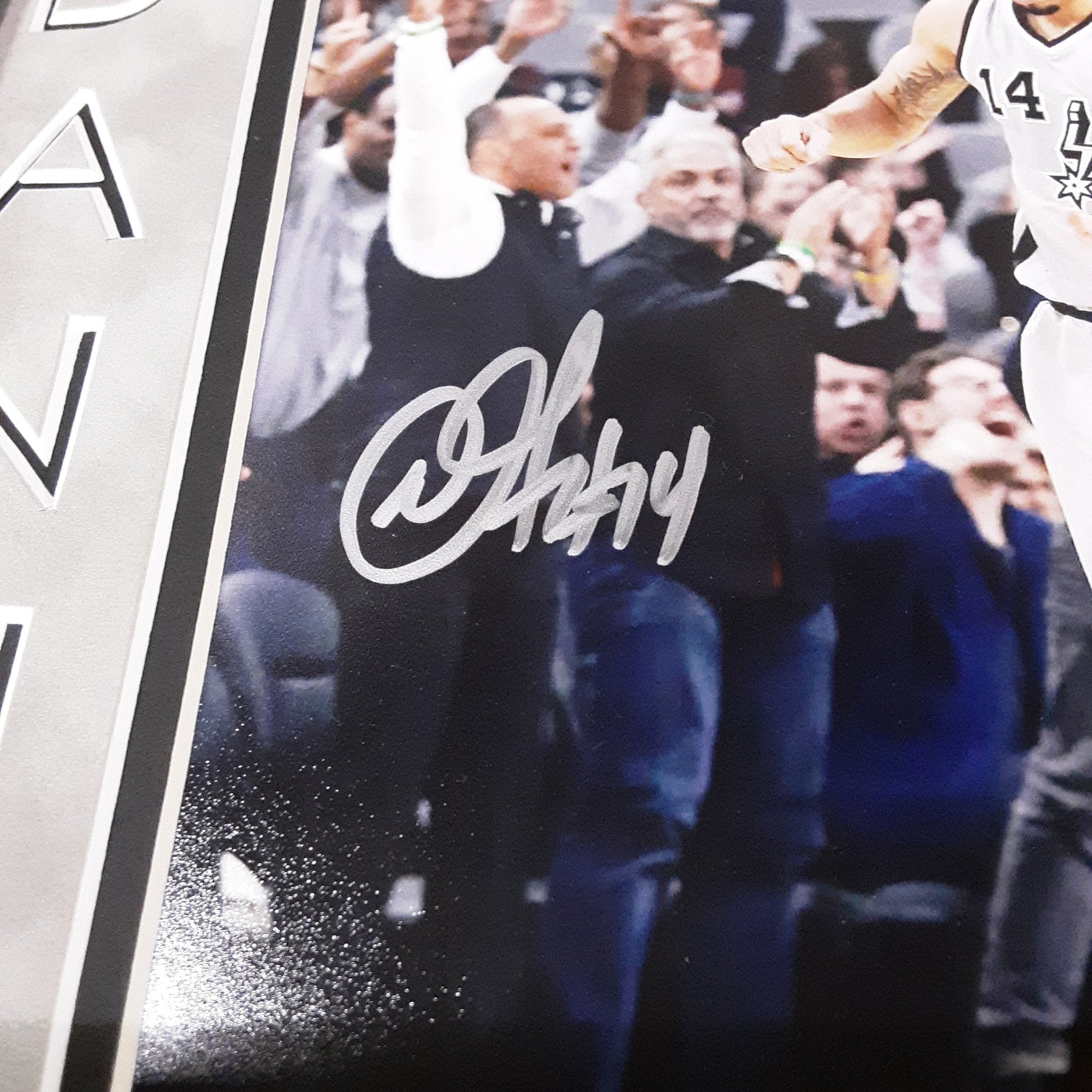 Danny Green Authentic Signed Framed 8x10 Photo Autographed JSA