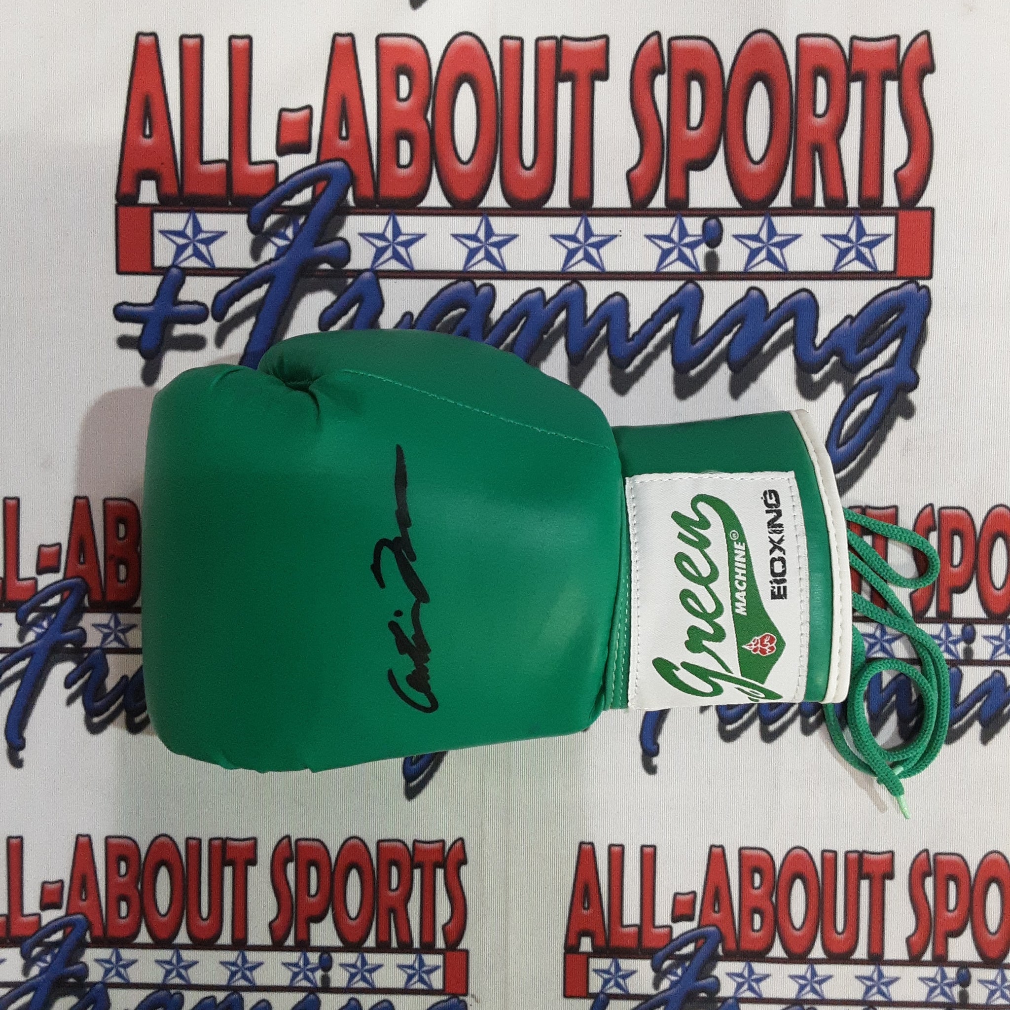 Danny Green and Antonio Tarver Authentic Signed Boxing Gloves Autographed JSA