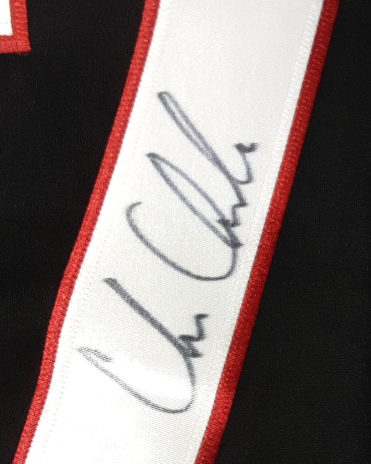 Chris Chelios Authentic Signed Pro Style Jersey Autographed JSA