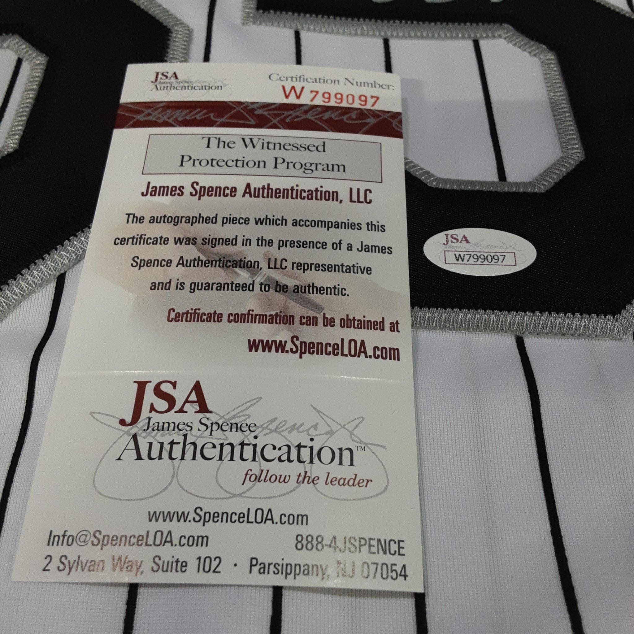 Frank Thomas Authentic Signed Pro Style Jersey Autographed JSA-