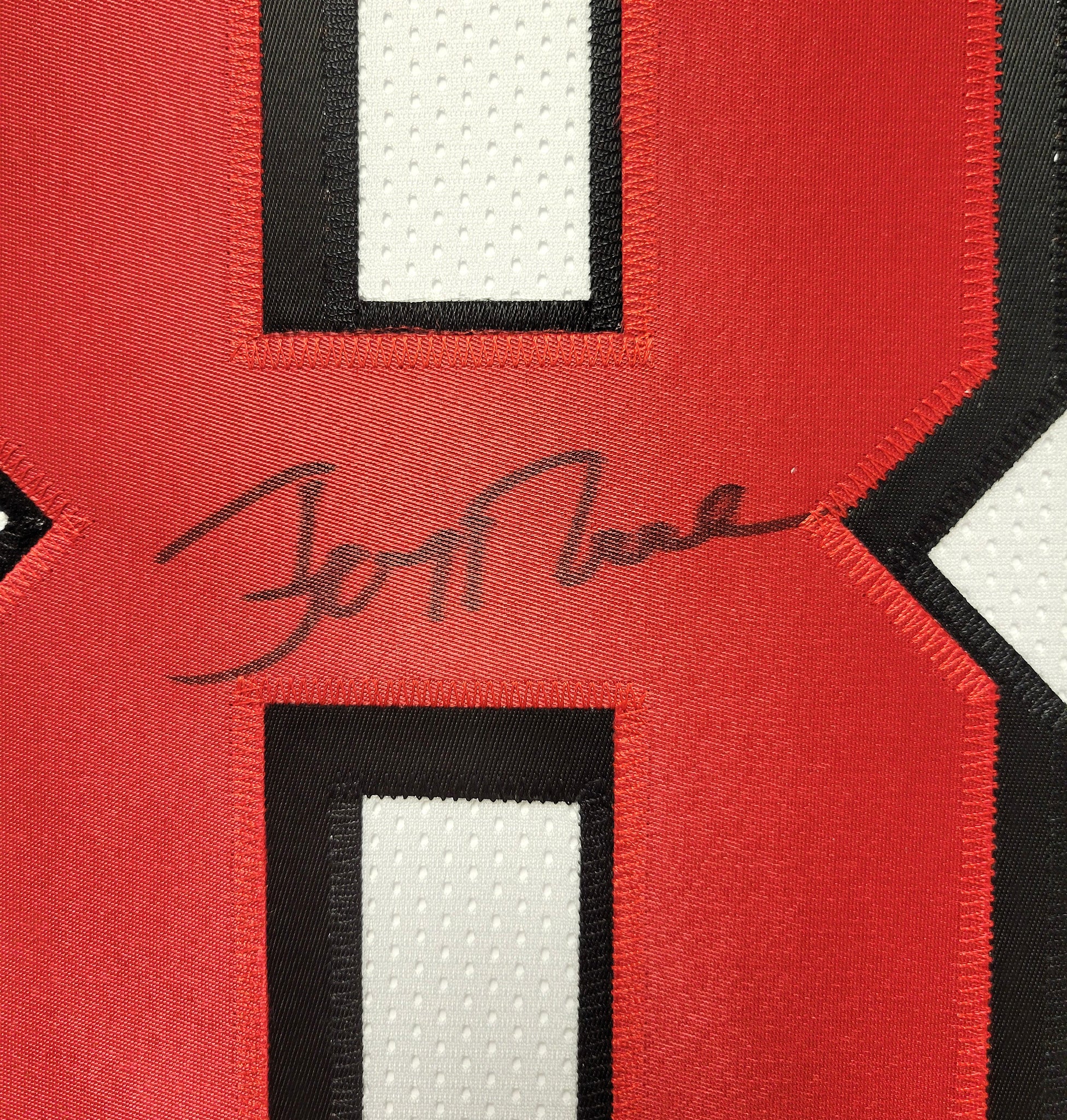 Jerry Rice Authentic Signed Pro Style Framed Jersey Autographed JSA-