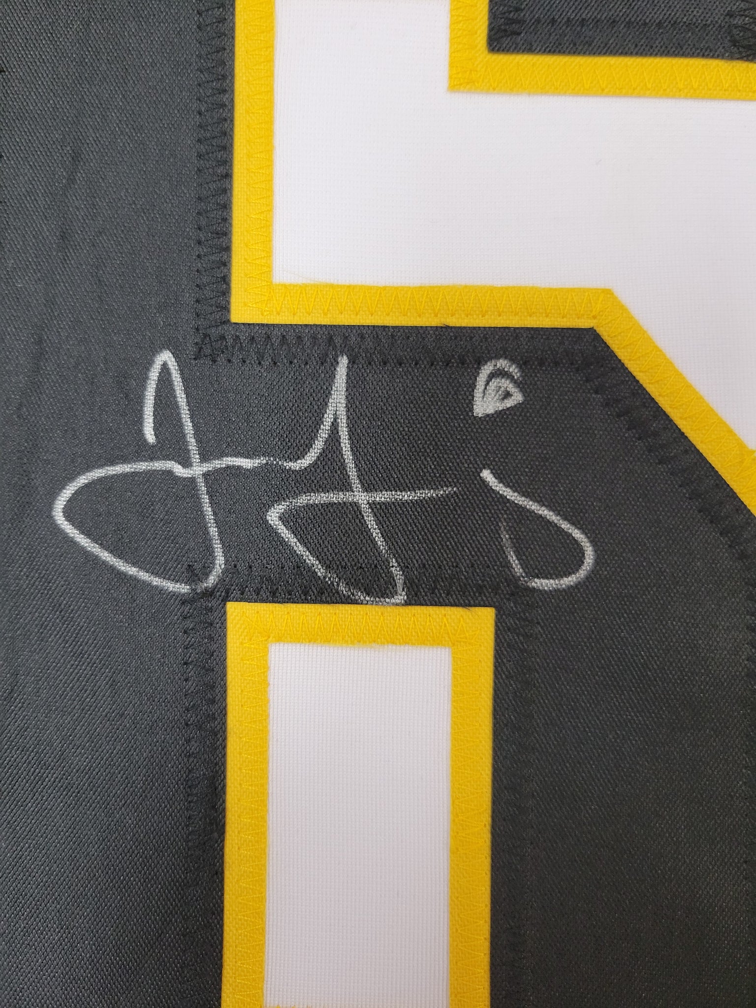 Jaromir Jagr Authentic Signed Pro Style Framed Jersey Autographed Beckett