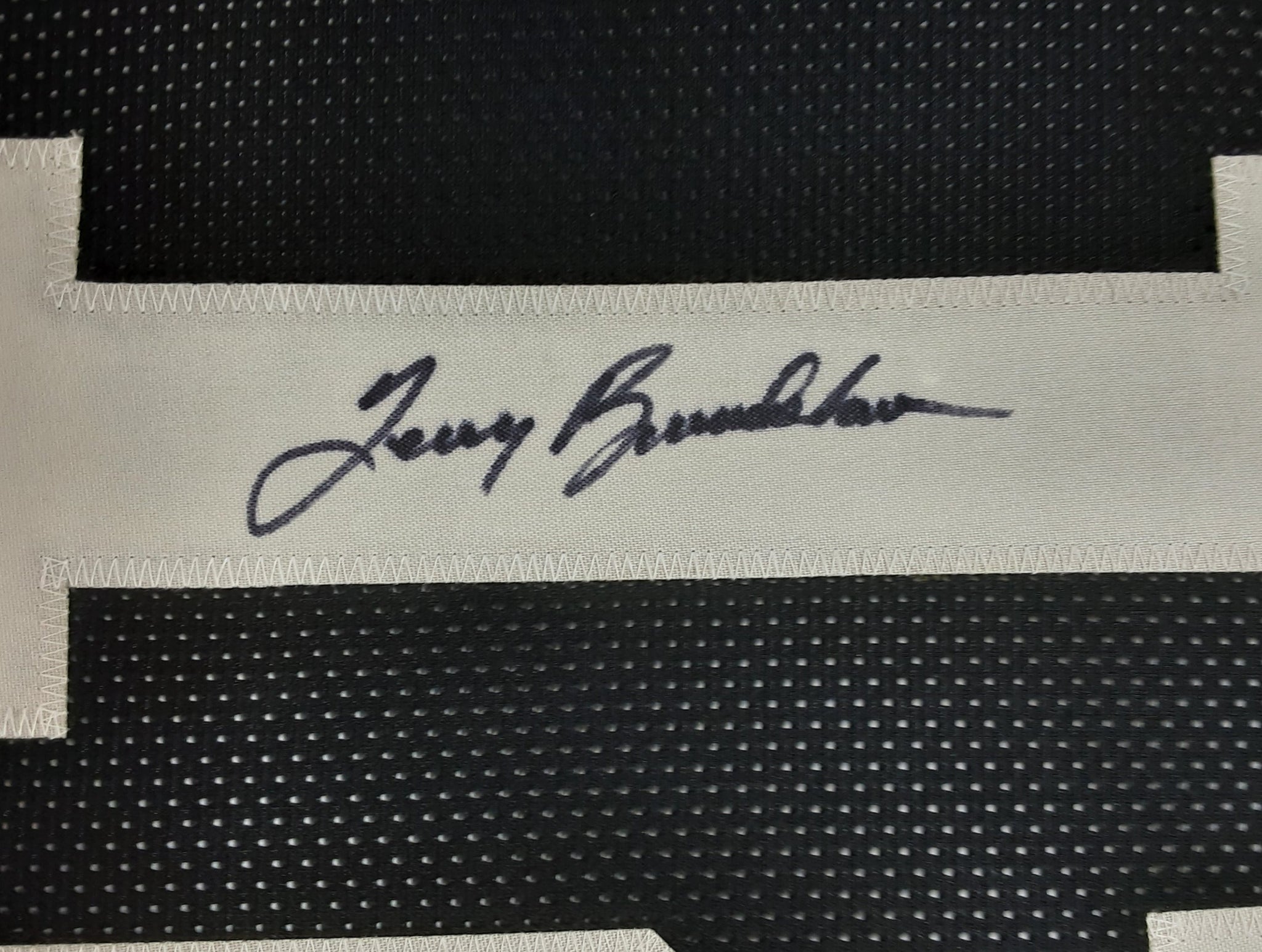 Terry Bradshaw Authentic Signed Pro Style Framed Jersey Autographed JSA