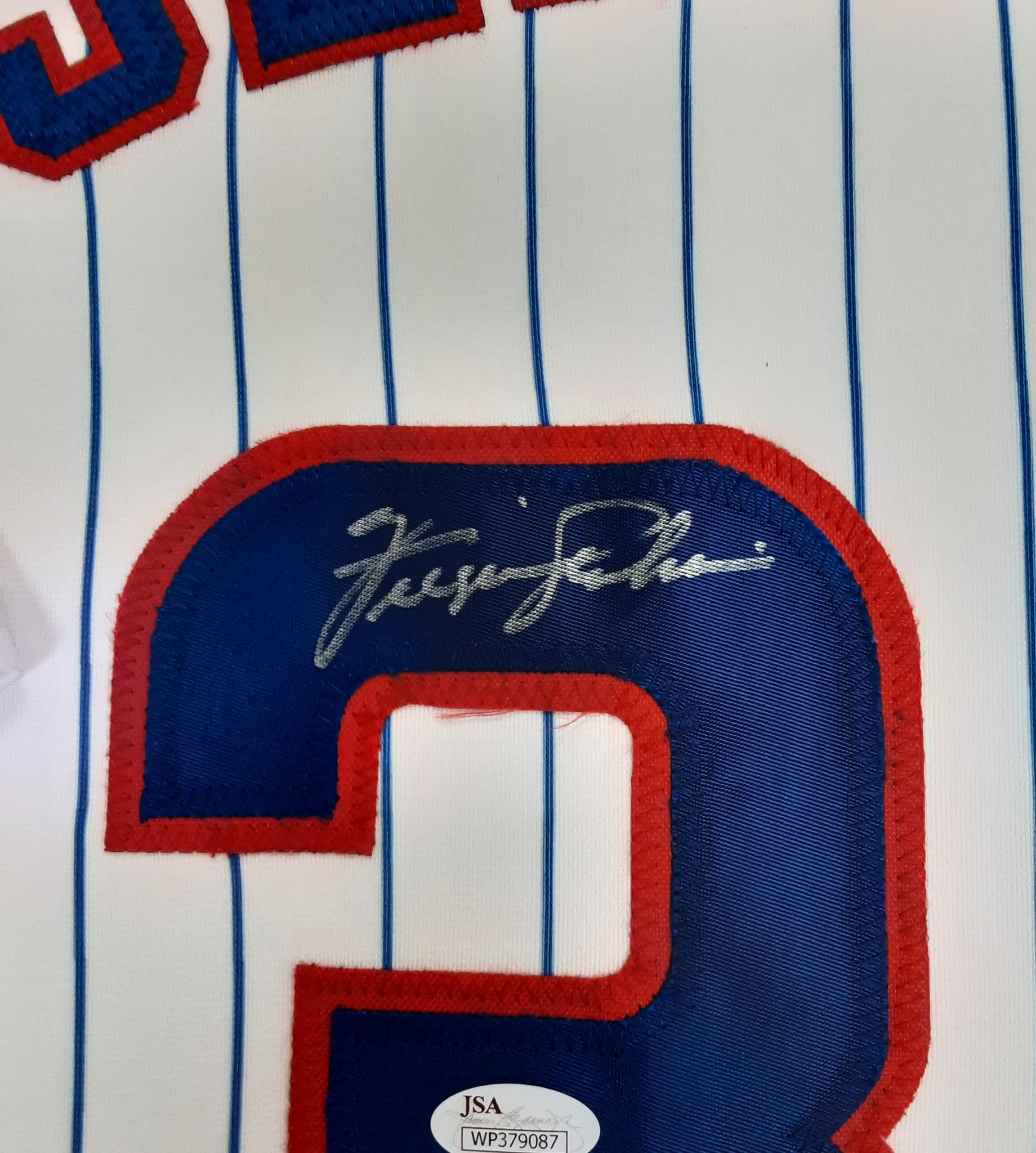 Fergie Jenkins Authentic Signed Pro Style Framed Jersey Autographed JSA