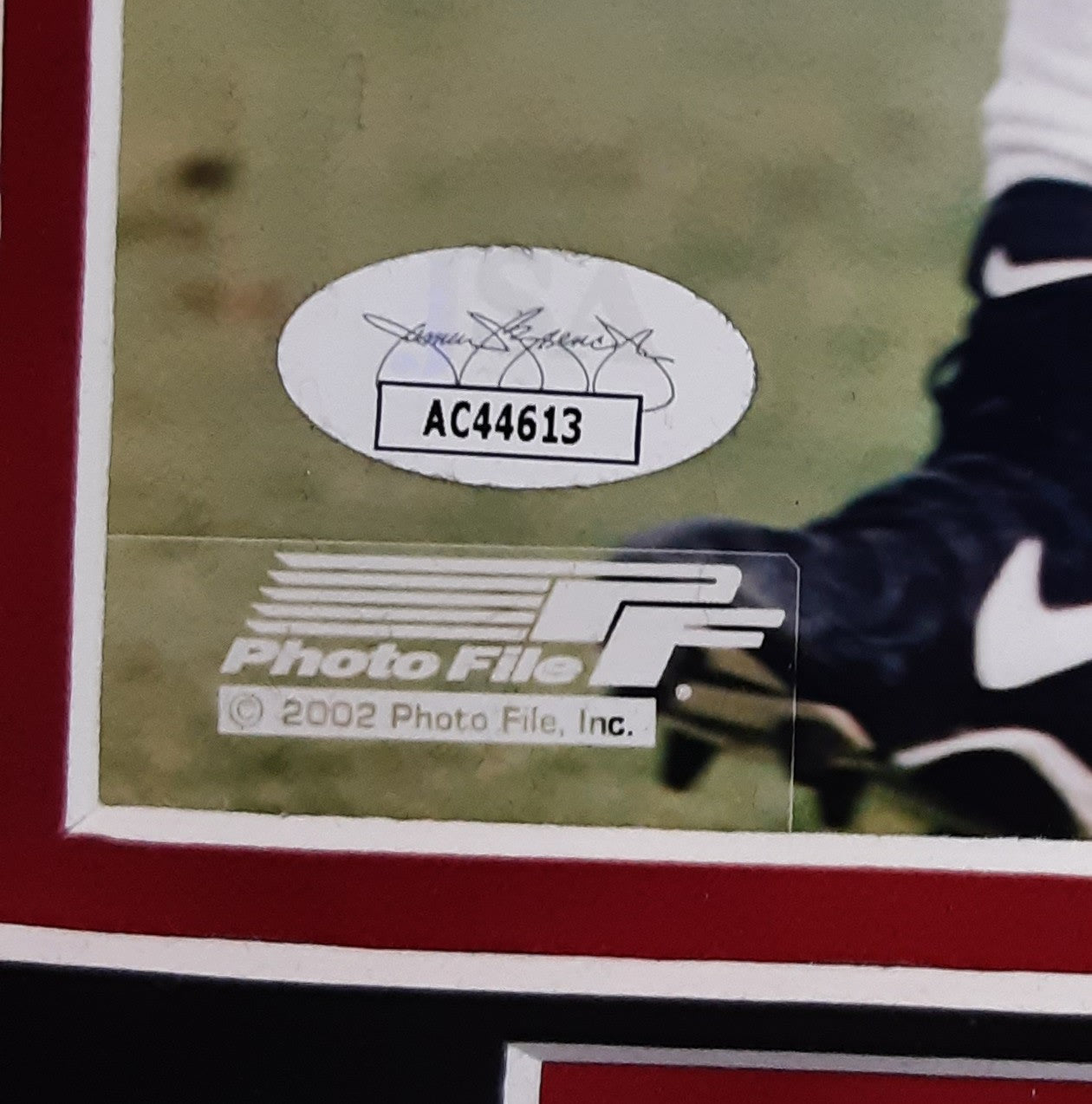 Mike Alstott Authentic Signed Framed 8x10 Photo Autographed JSA