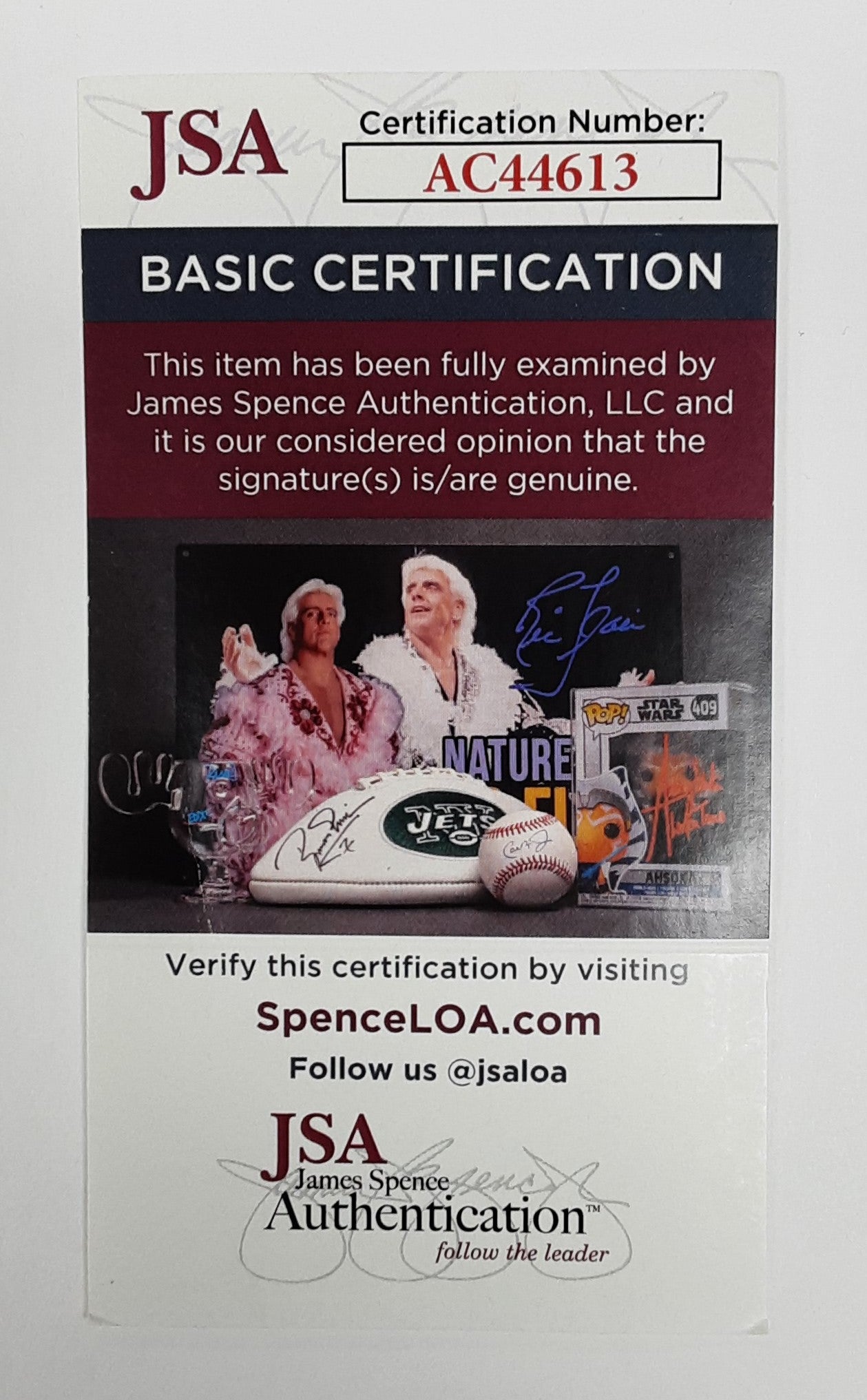 Mike Alstott Authentic Signed Framed 8x10 Photo Autographed JSA