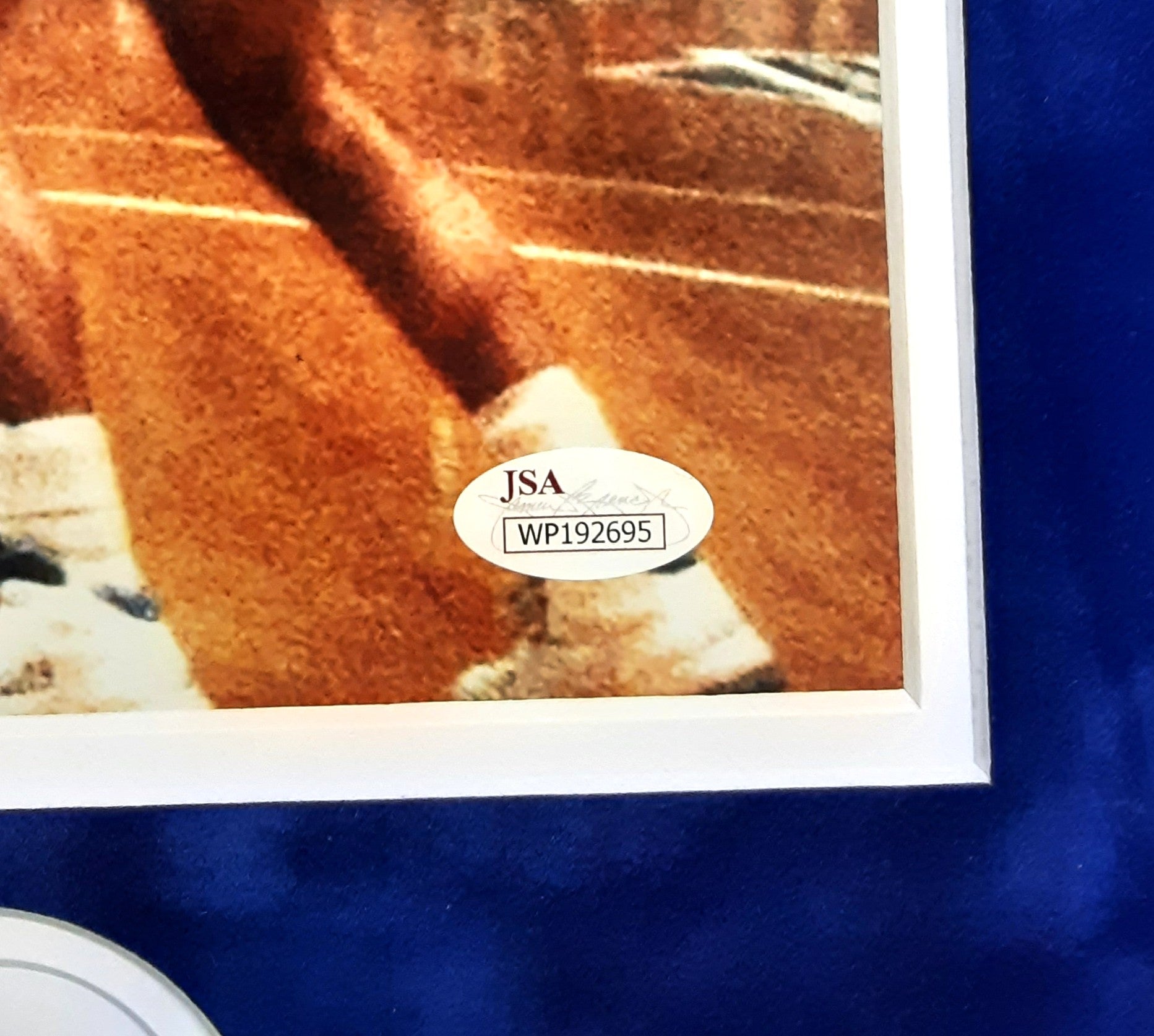 Christian Laettner Authentic Signed Framed 16x20 Photo Autographed JSA