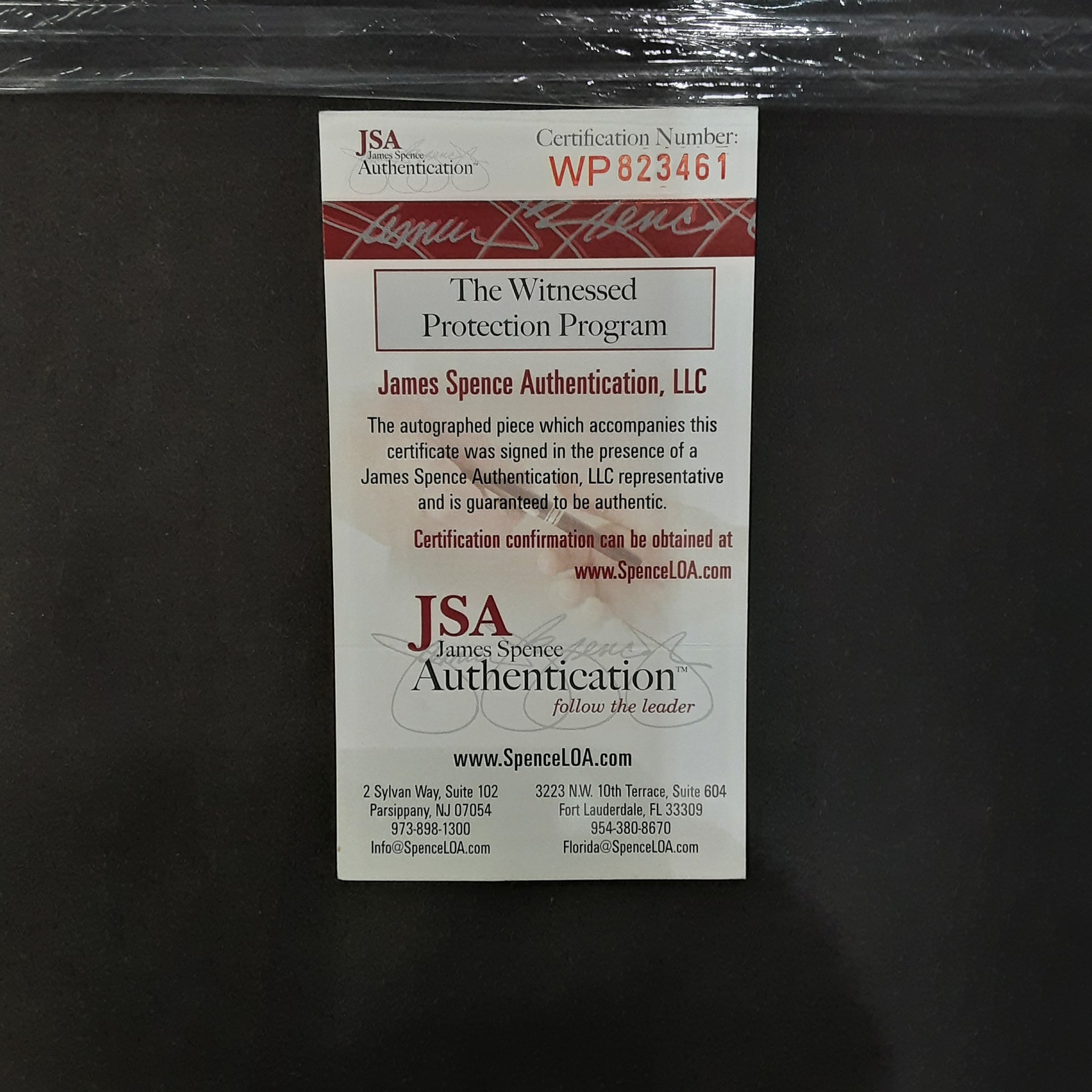 Andrei Vasilevskiy and Yanni Gourde Signed Framed 11x14 Photo Autographed JSA