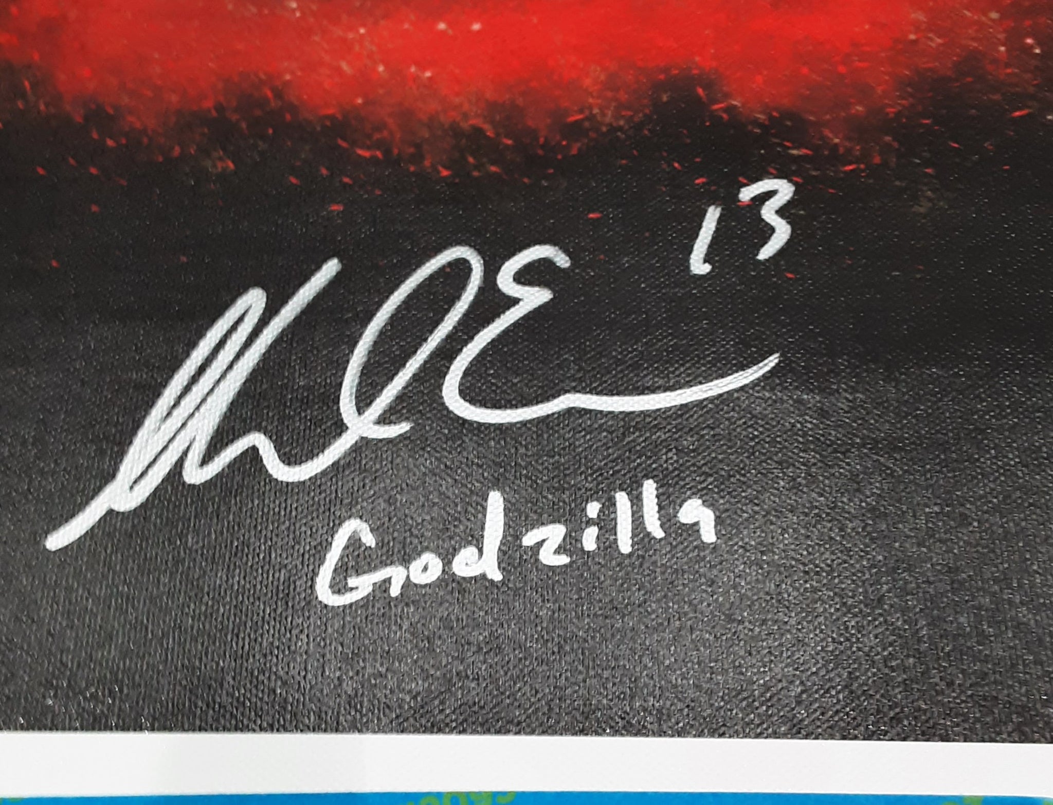 Mike Evans Authentic Signed 16x20 Canvas Autographed JSA