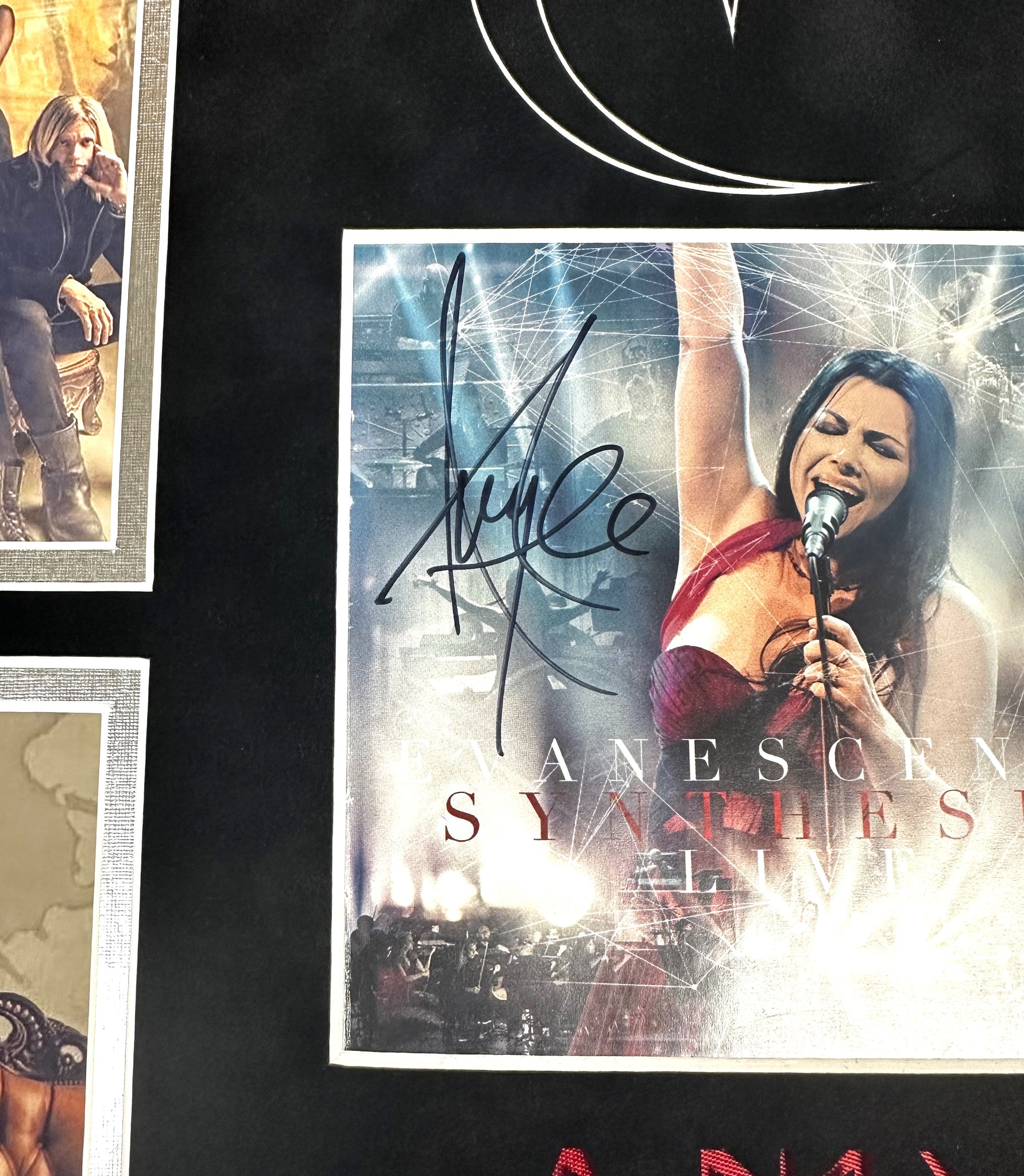 Amy Lee Authentic Signed CD Booklet Framed 13x19 Collage Autographed JSA
