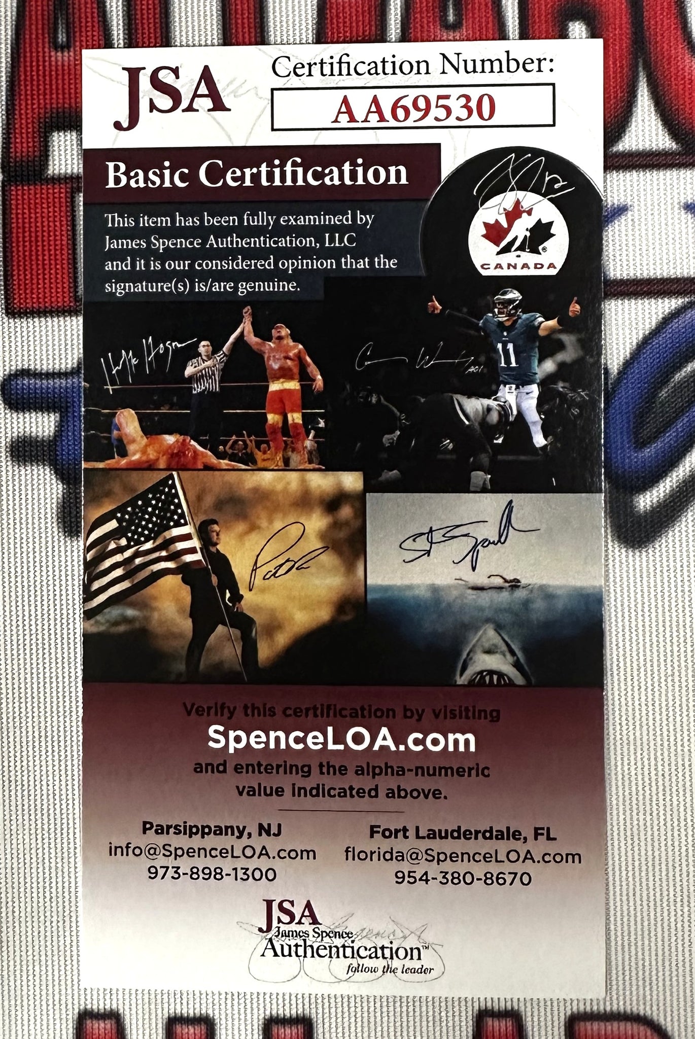Amy Lee Authentic Signed CD Booklet Framed 13x19 Collage Autographed JSA
