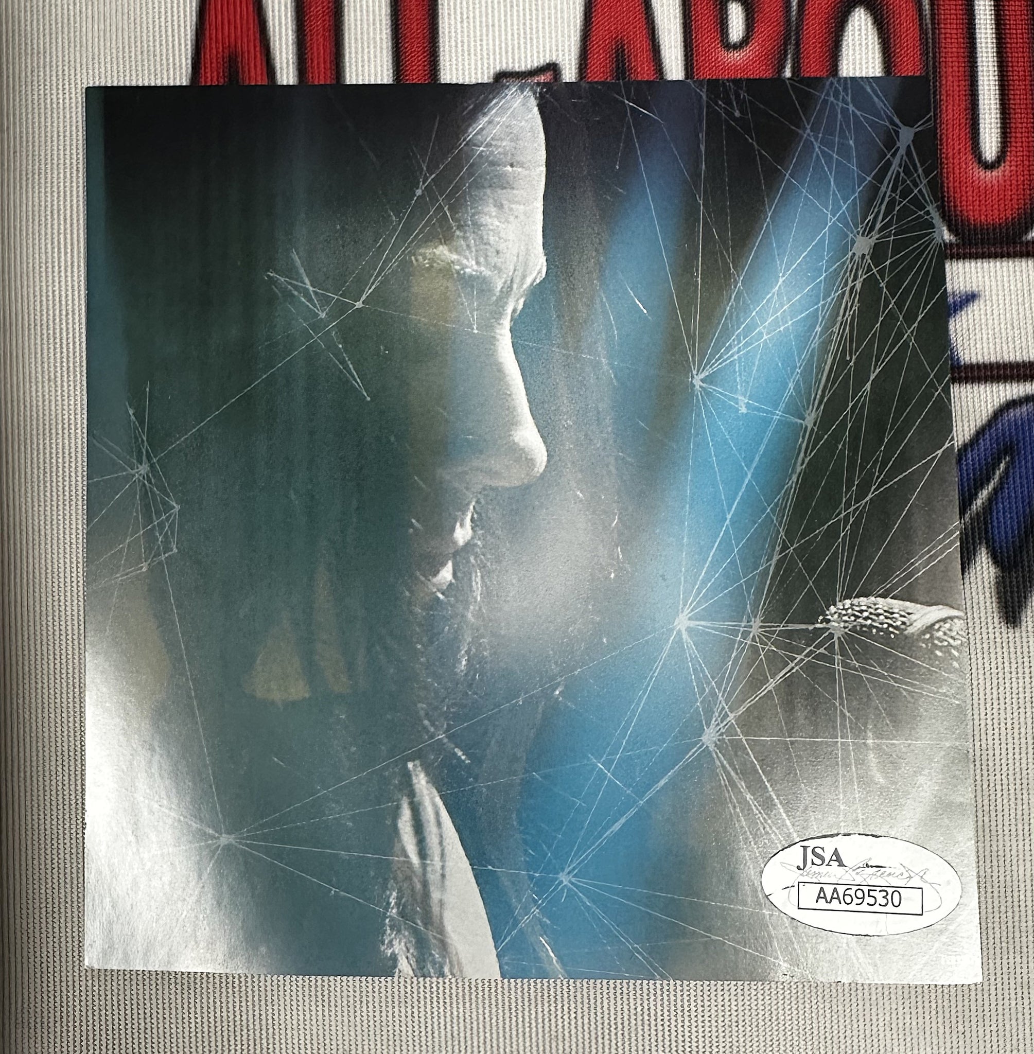 Amy Lee Authentic Signed CD Booklet Framed 13x19 Collage Autographed JSA