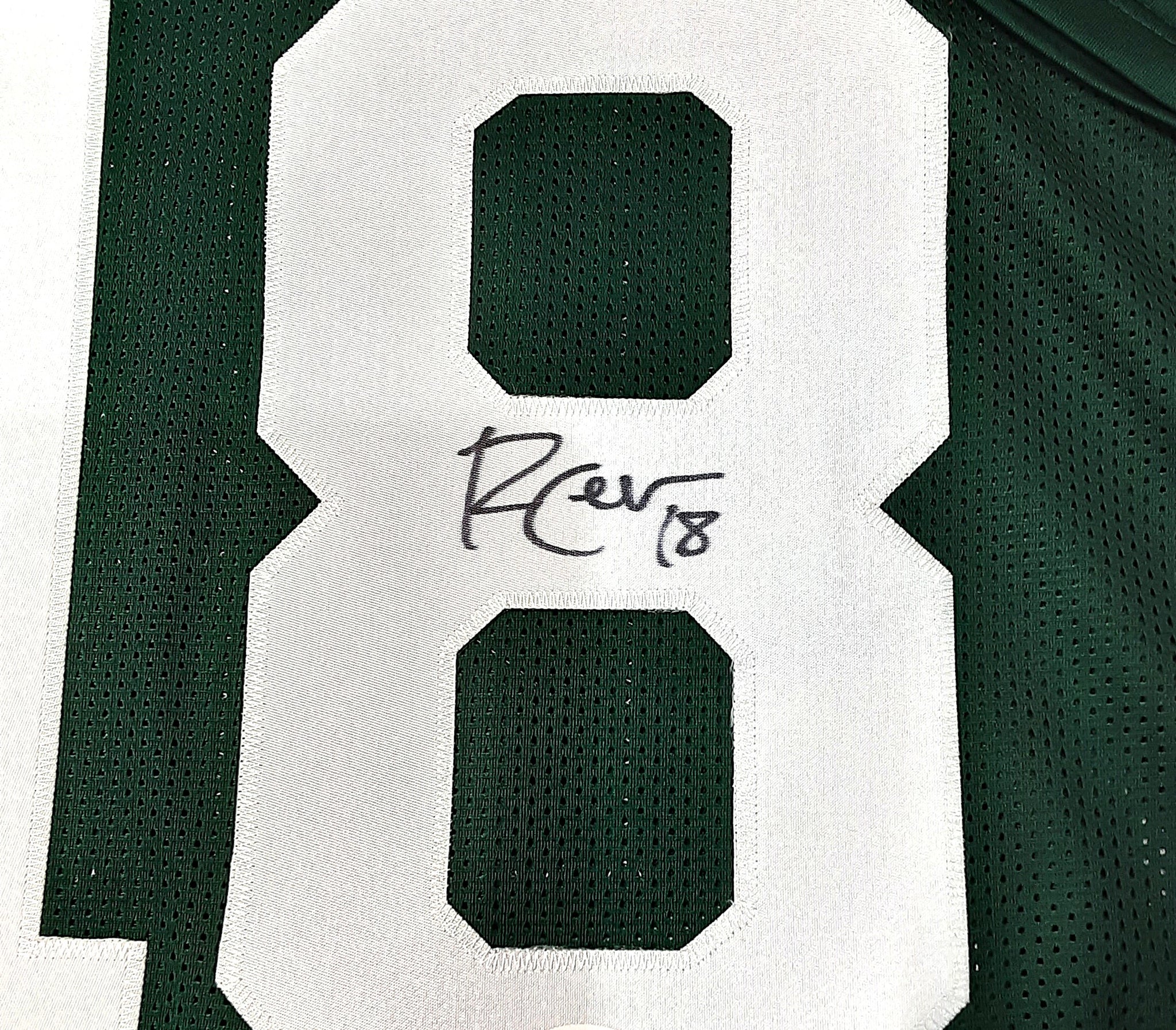 Randall Cobb Authentic Signed Pro Style Jersey Autographed JSA