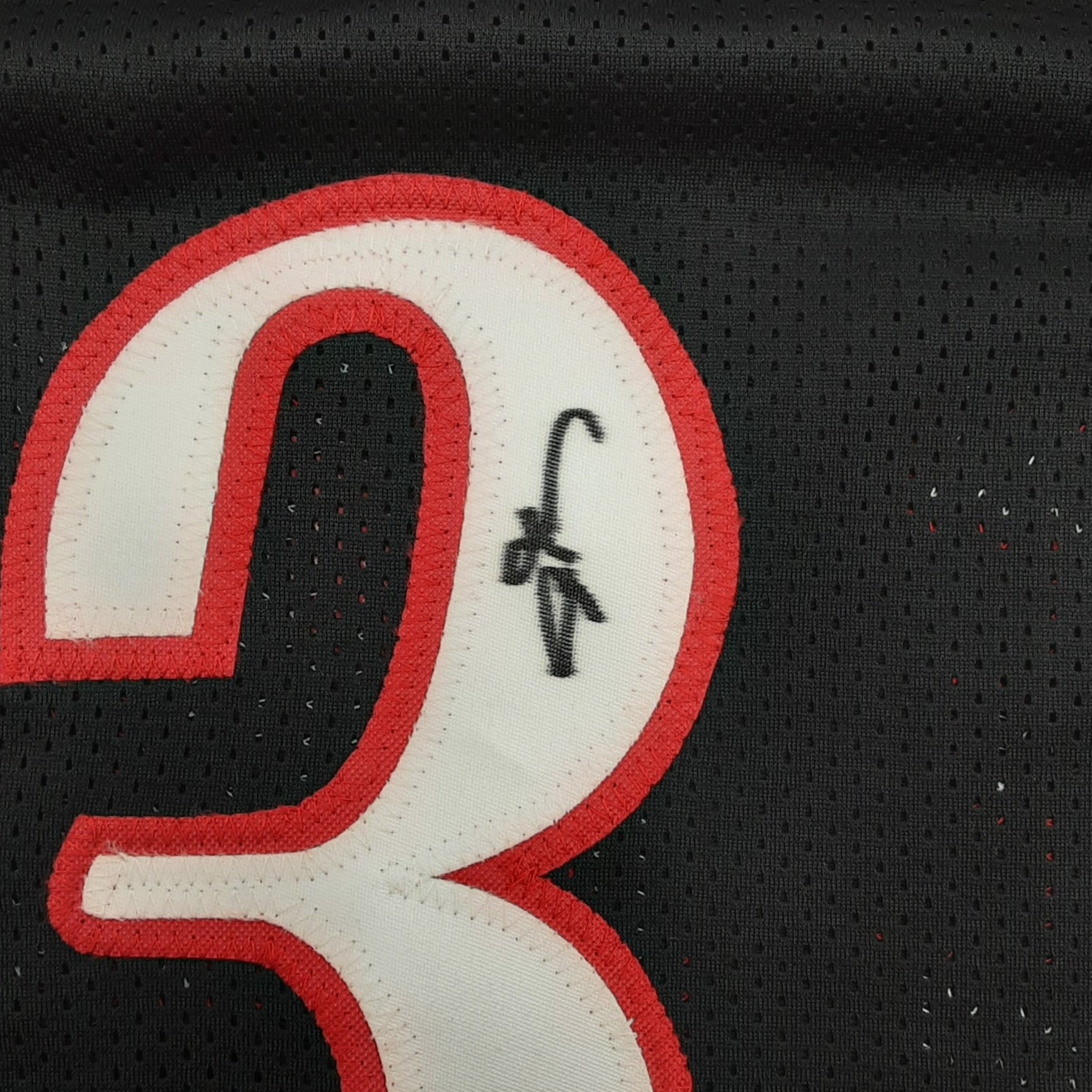 Allen Iverson Authentic Signed Pro Style Stats Jersey Autographed JSA R1