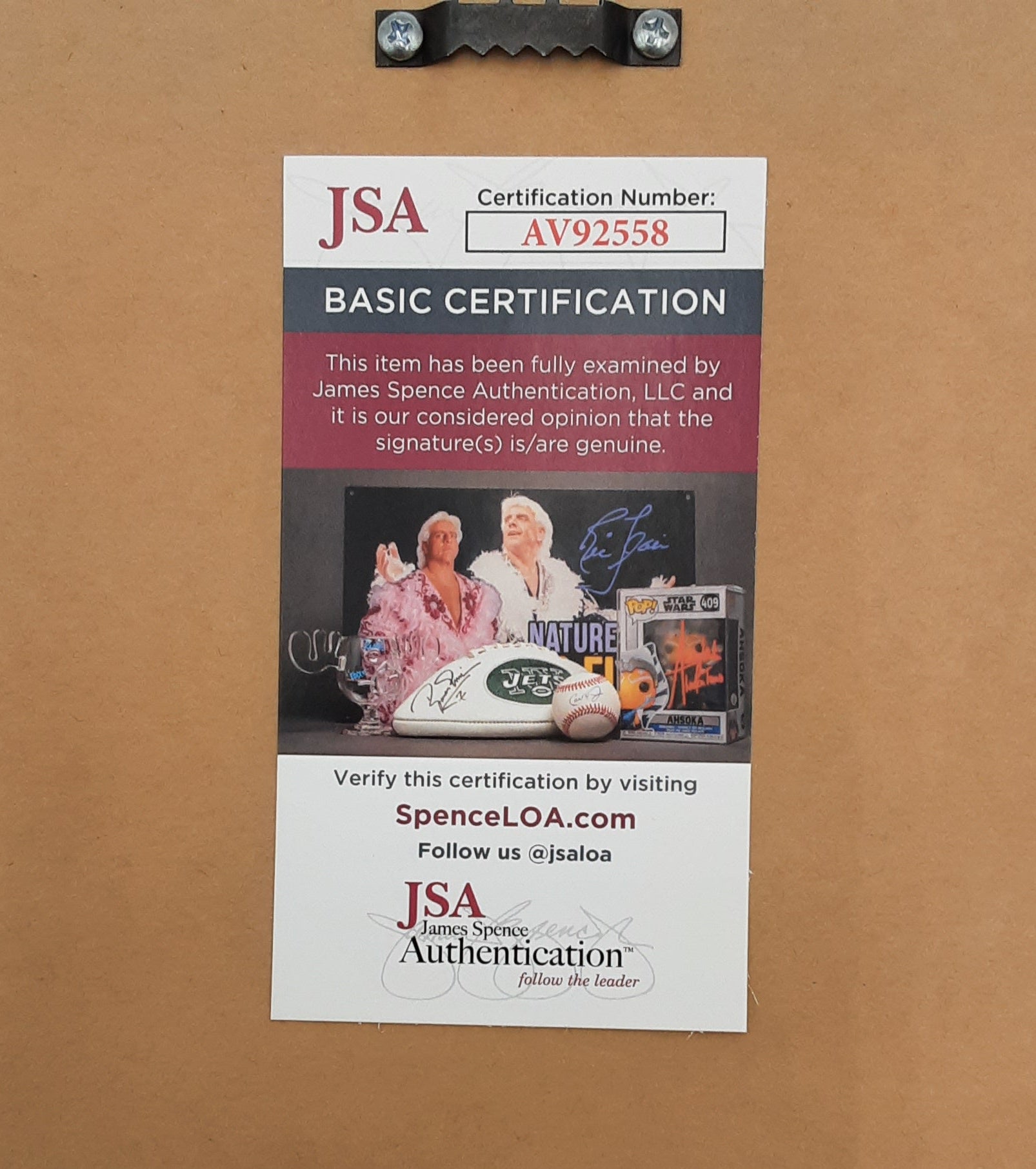 Ariana Grande Framed Authentic Signed Eternal Sunshine CD Booklet with CD and Case Autographed JSA