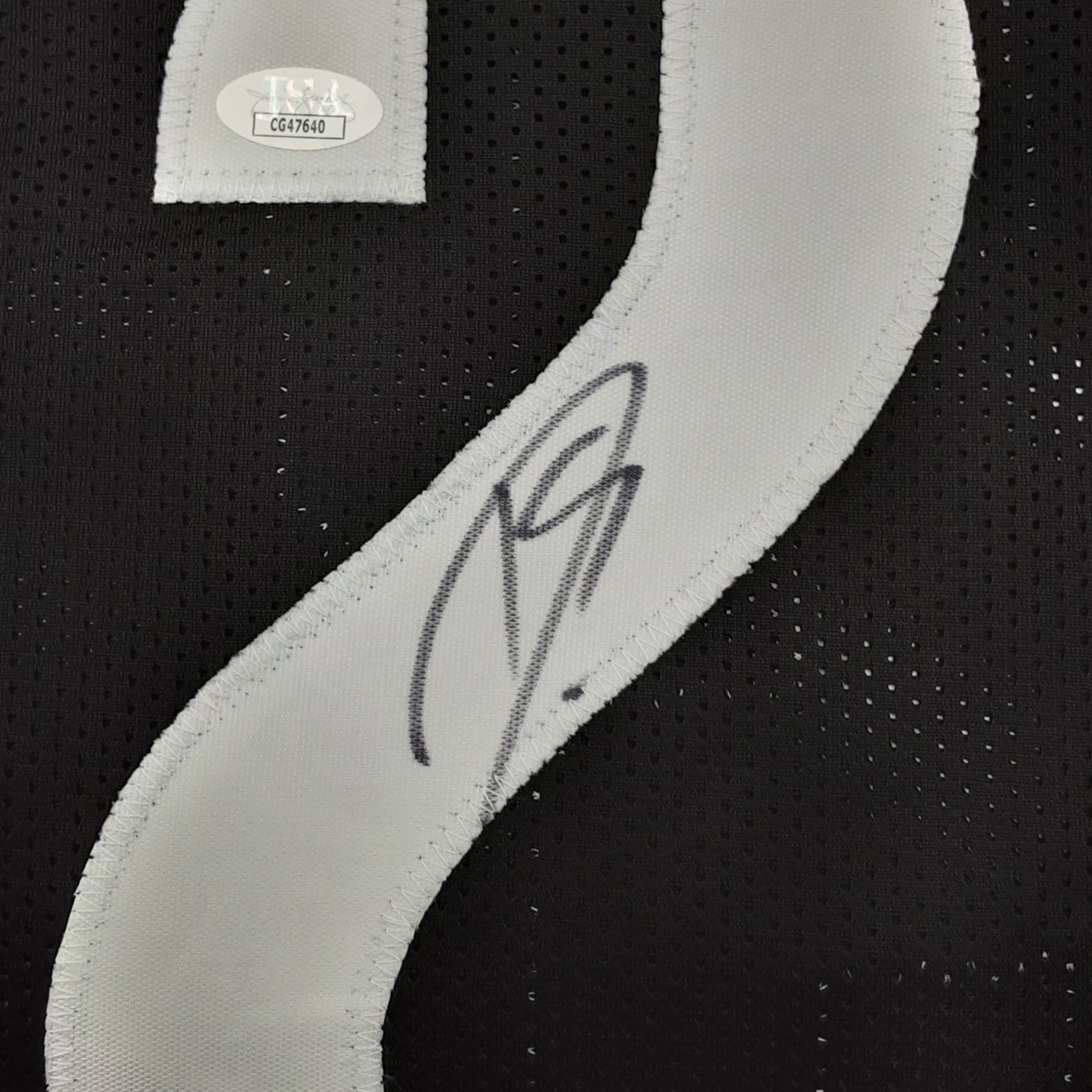 Darius Slay Jr Authentic Signed Pro Style Jersey Autographed JSA