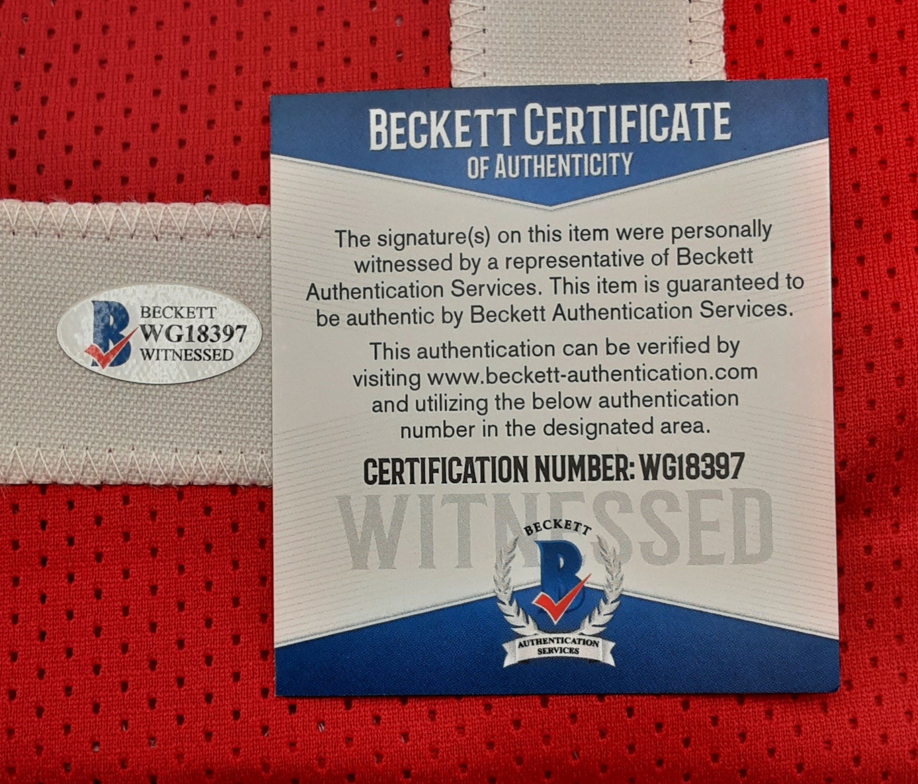 Steve Francis Authentic Signed Pro Style Jersey Autographed Beckett