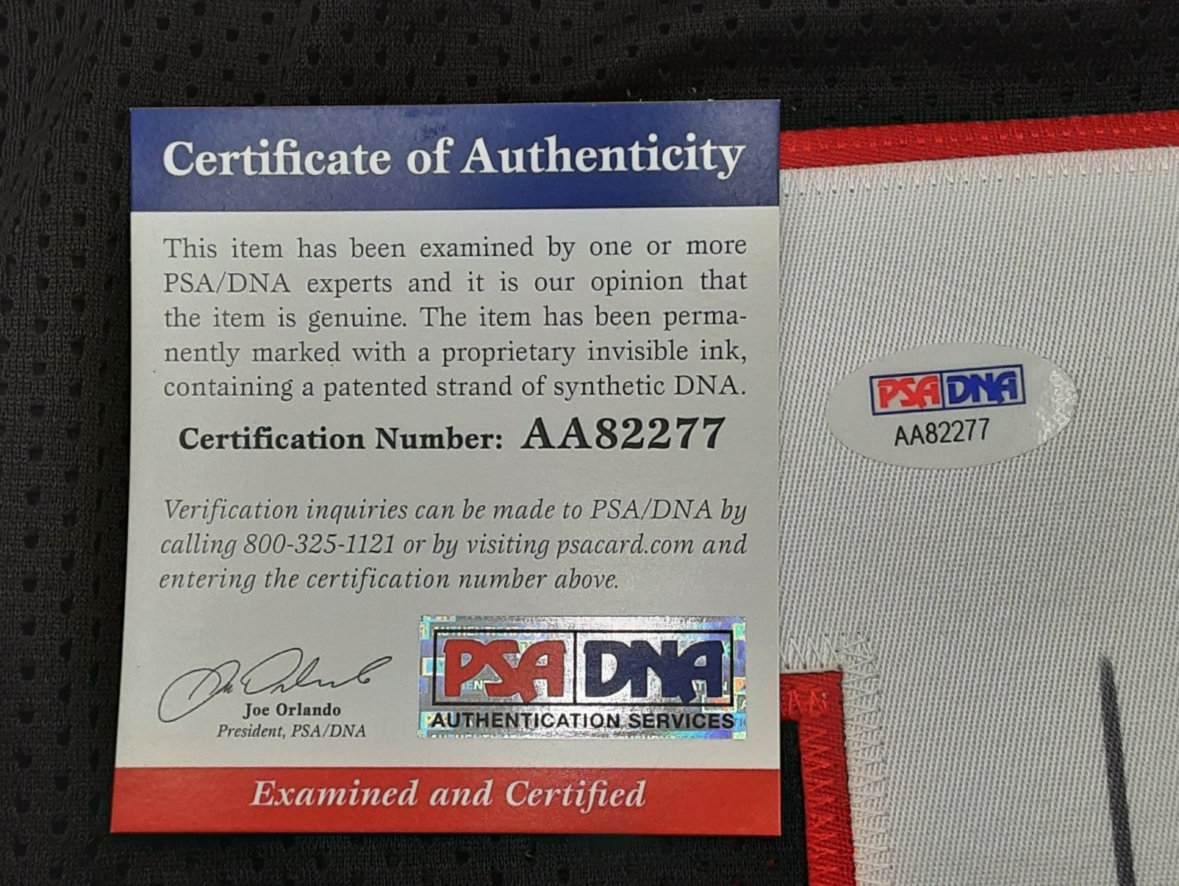 Kurt Warner Authentic Signed Pro Style Jersey Autographed PSA/DNA R1