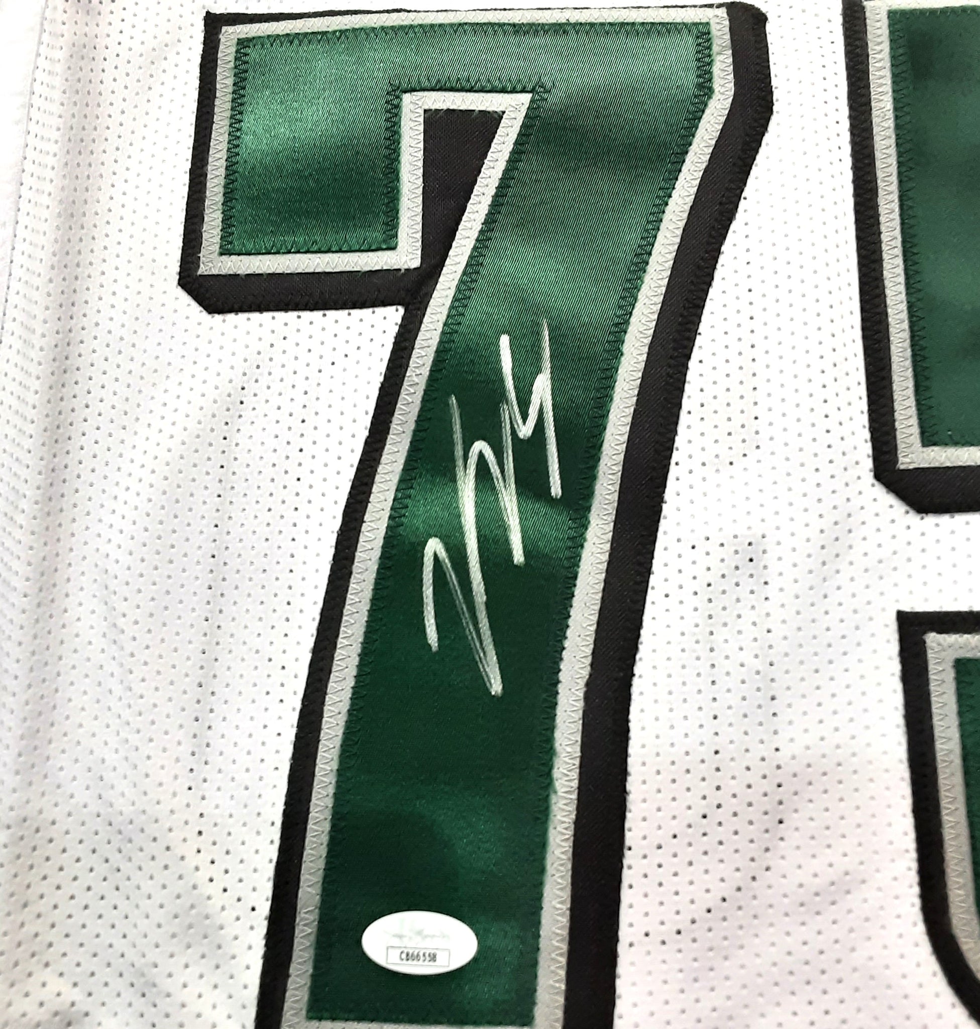 Vinny Curry Authentic Signed Pro Style Jersey Autographed JSA R1