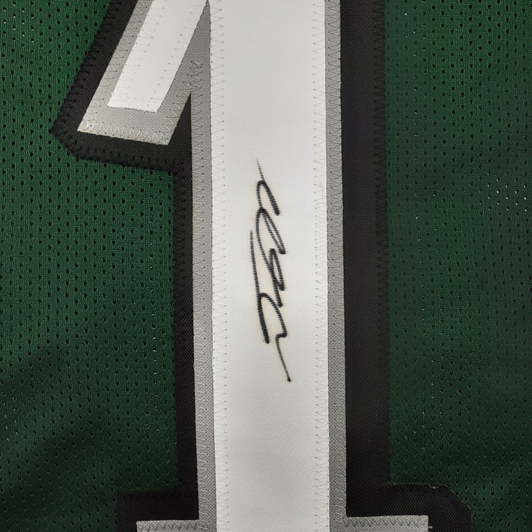 Desean Jackson Signed Pro Style Jersey Autographed JSA