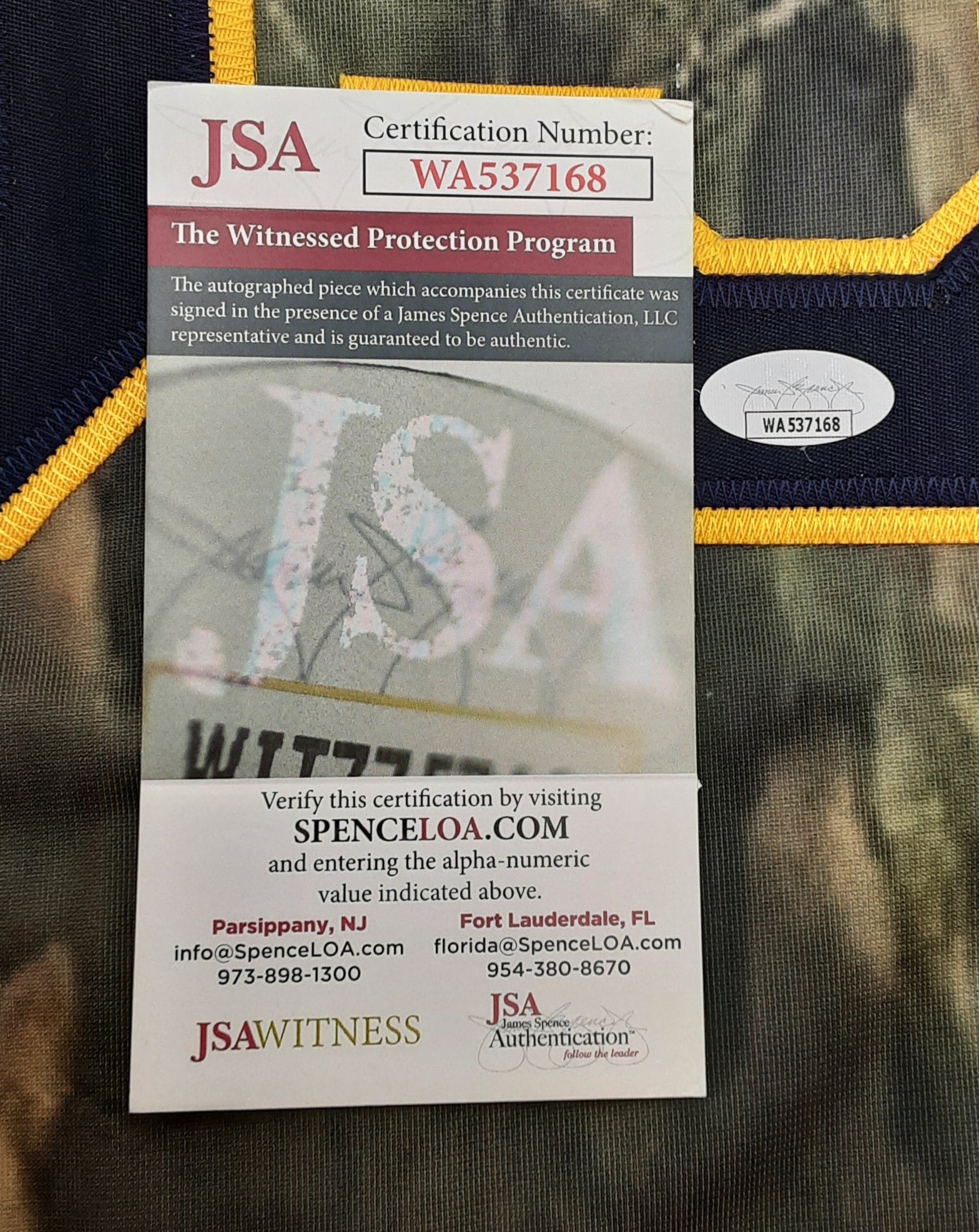 Kevin Kiermaier Signed Pro Style Jersey Autographed JSA R1