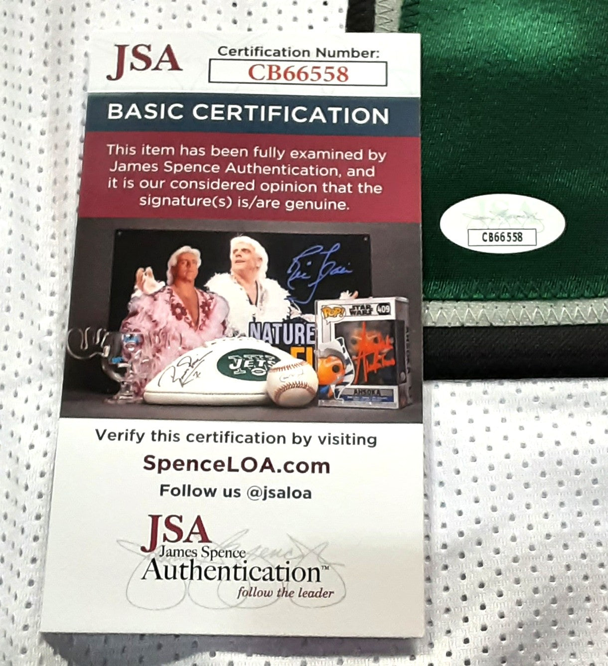 Vinny Curry Authentic Signed Pro Style Jersey Autographed JSA R1