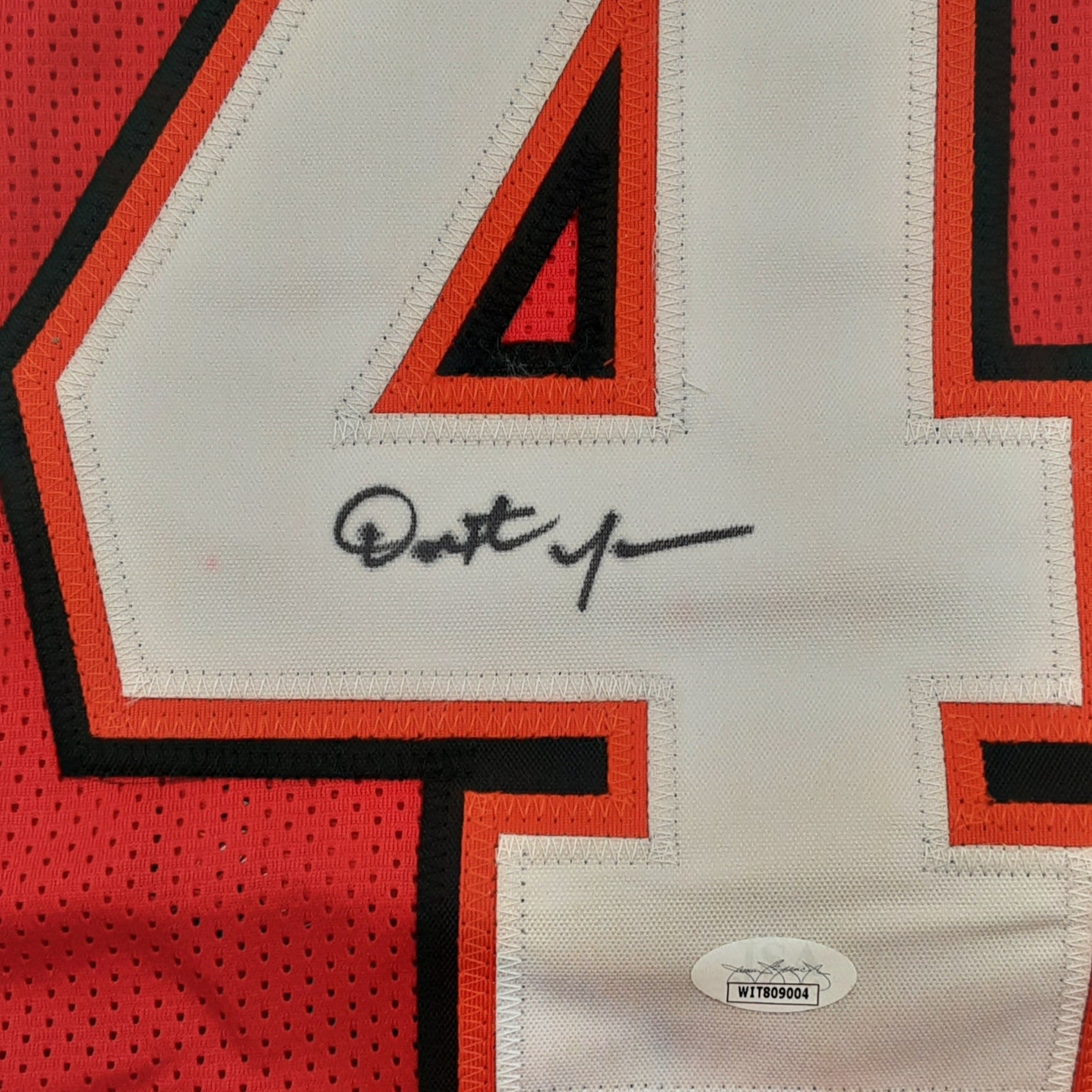 Dexter Jackson Signed Pro Style Jersey Autographed JSA R1