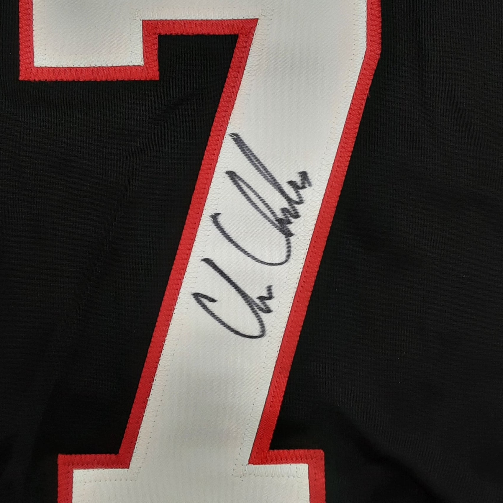 Chris Chelios Authentic Signed Pro Style Jersey Autographed JSA