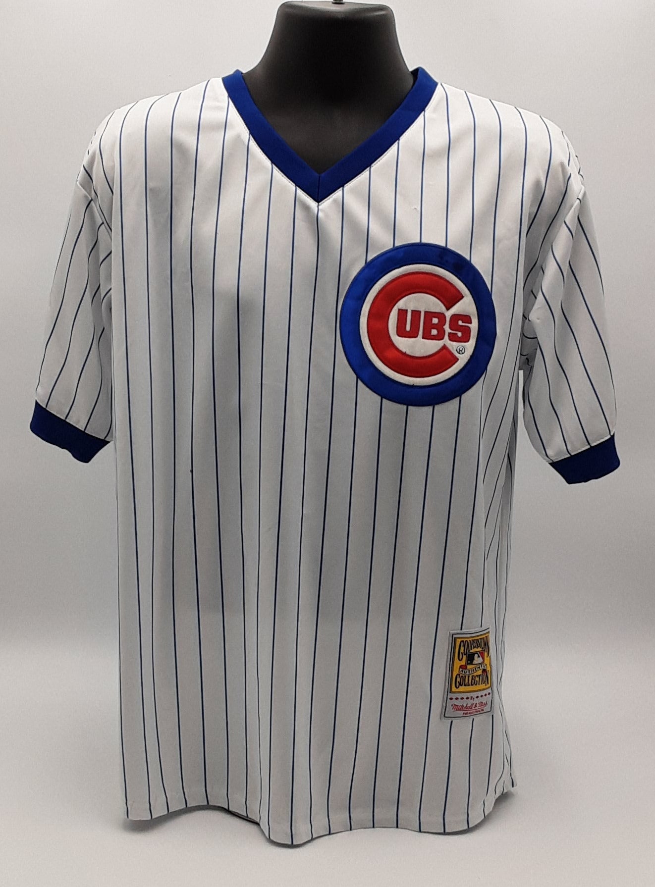 Fergie Jenkins Authentic Signed Pro Style Jersey Autographed JSA R1