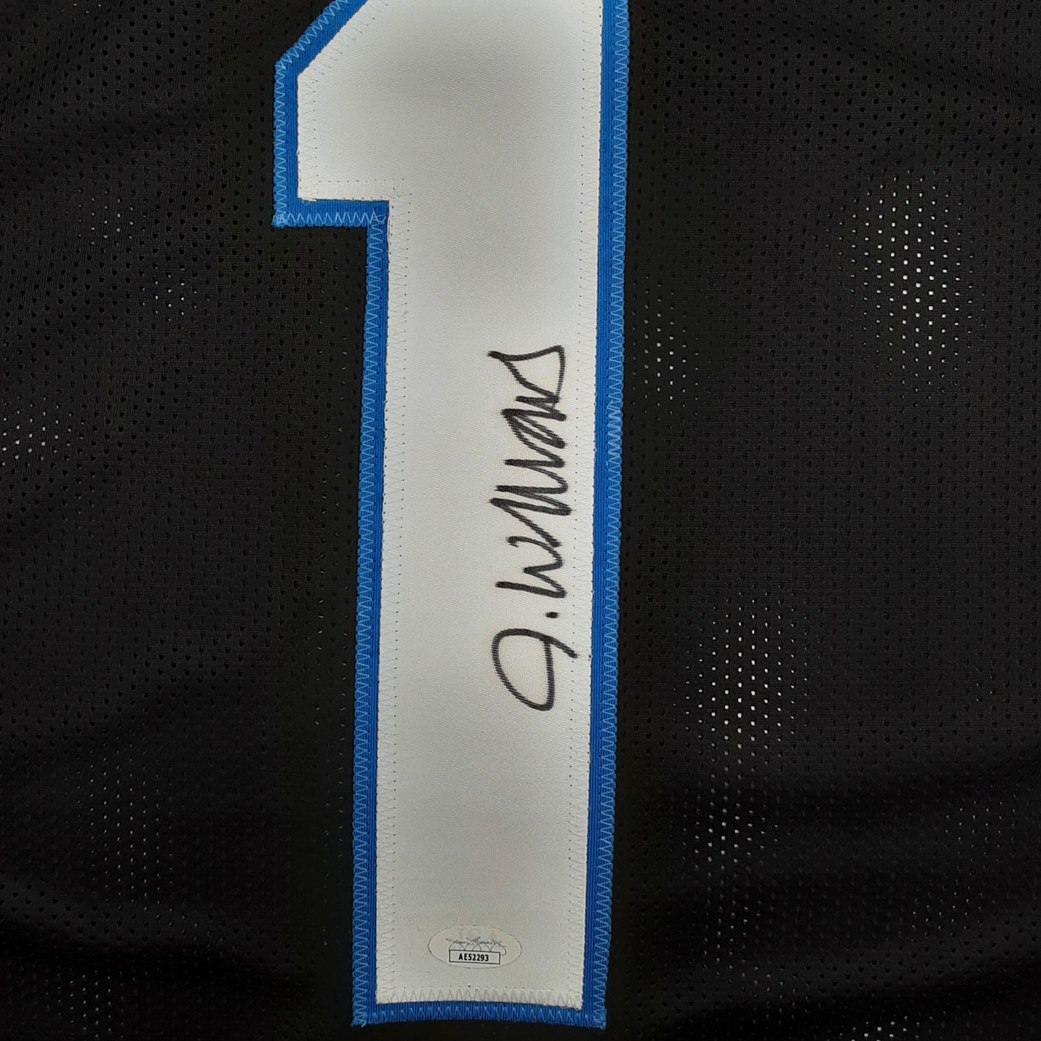 Jameson Williams Authentic Signed Pro Style Jersey Autographed JSA R1