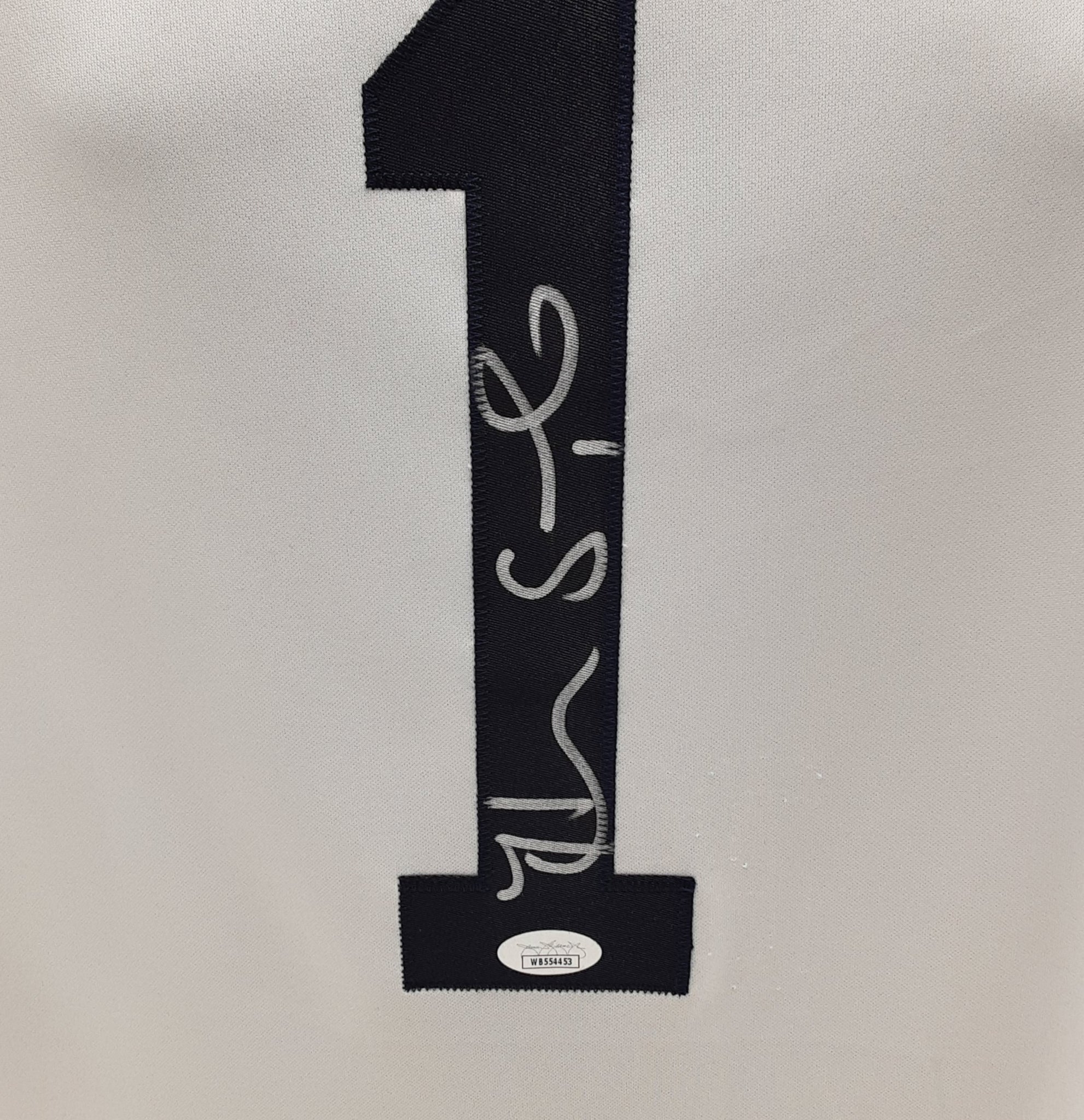 Hope Solo Authentic Signed Pro Style Jersey USA Autographed JSA
