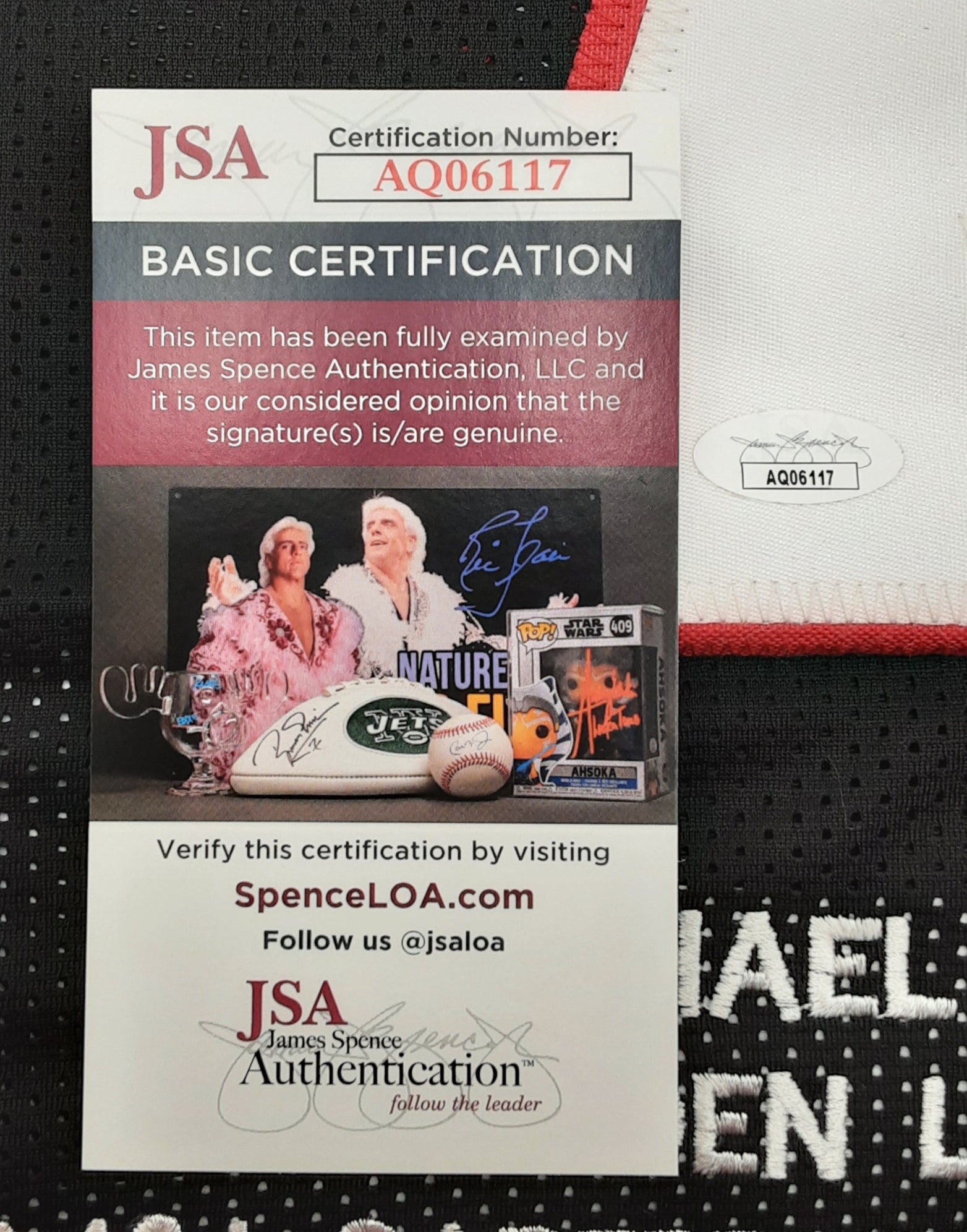 Michael Vick Authentic Signed Pro Style Stats Jersey Autographed JSA