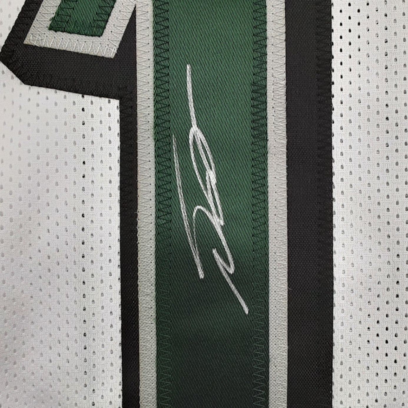 Desean Jackson Signed Pro Style Jersey Autographed JSA R1