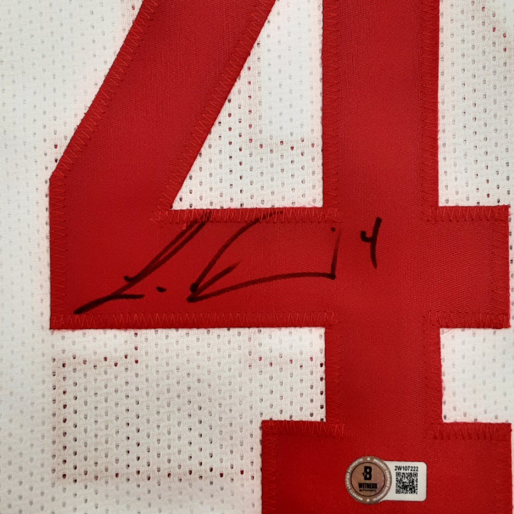 LaVonte David Signed Pro Style Jersey Autographed Beckett