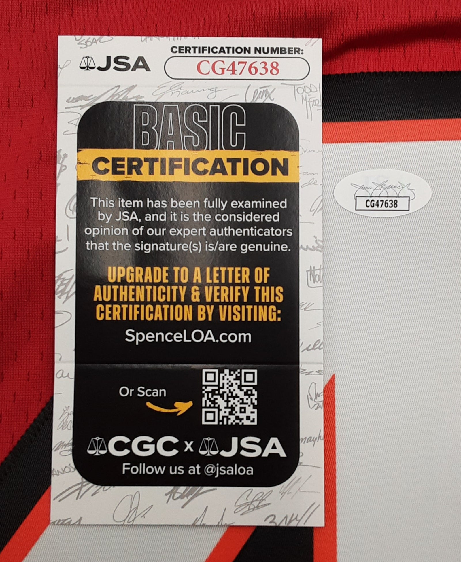 Mike Alstott Authentic Signed Pro Style Jersey Autographed with Inscription JSA