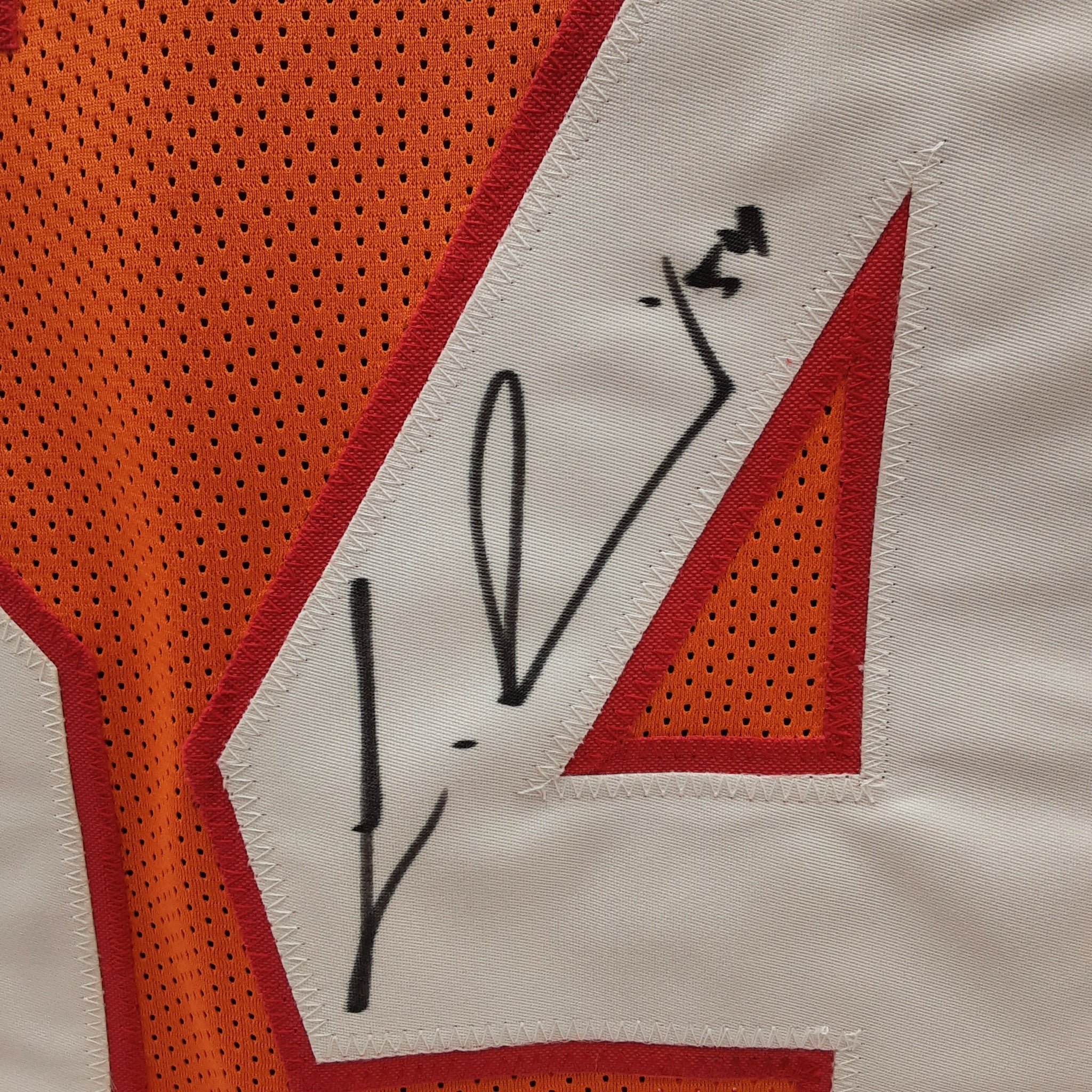 LaVonte David Signed Pro Style Jersey Autographed Beckett R1