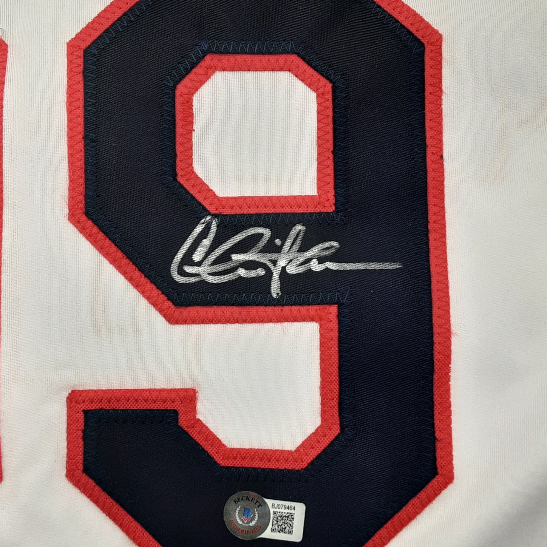 Charlie Sheen "Wild Thing" Rick Vaughn Authentic Signed Pro Style Jersey Autographed Beckett