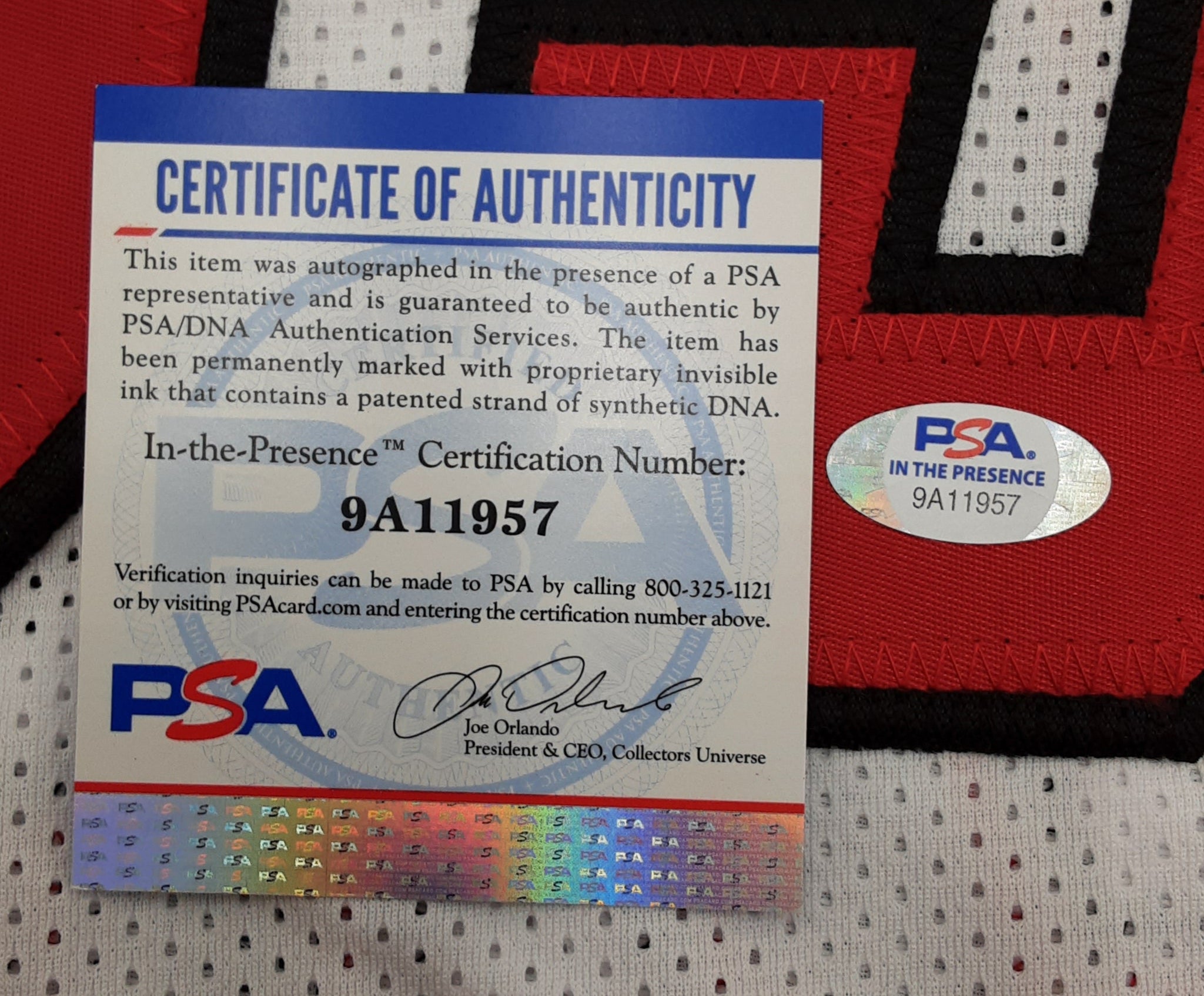 Jason Williams Authentic Signed Pro Style Jersey Autographed PSA DNA