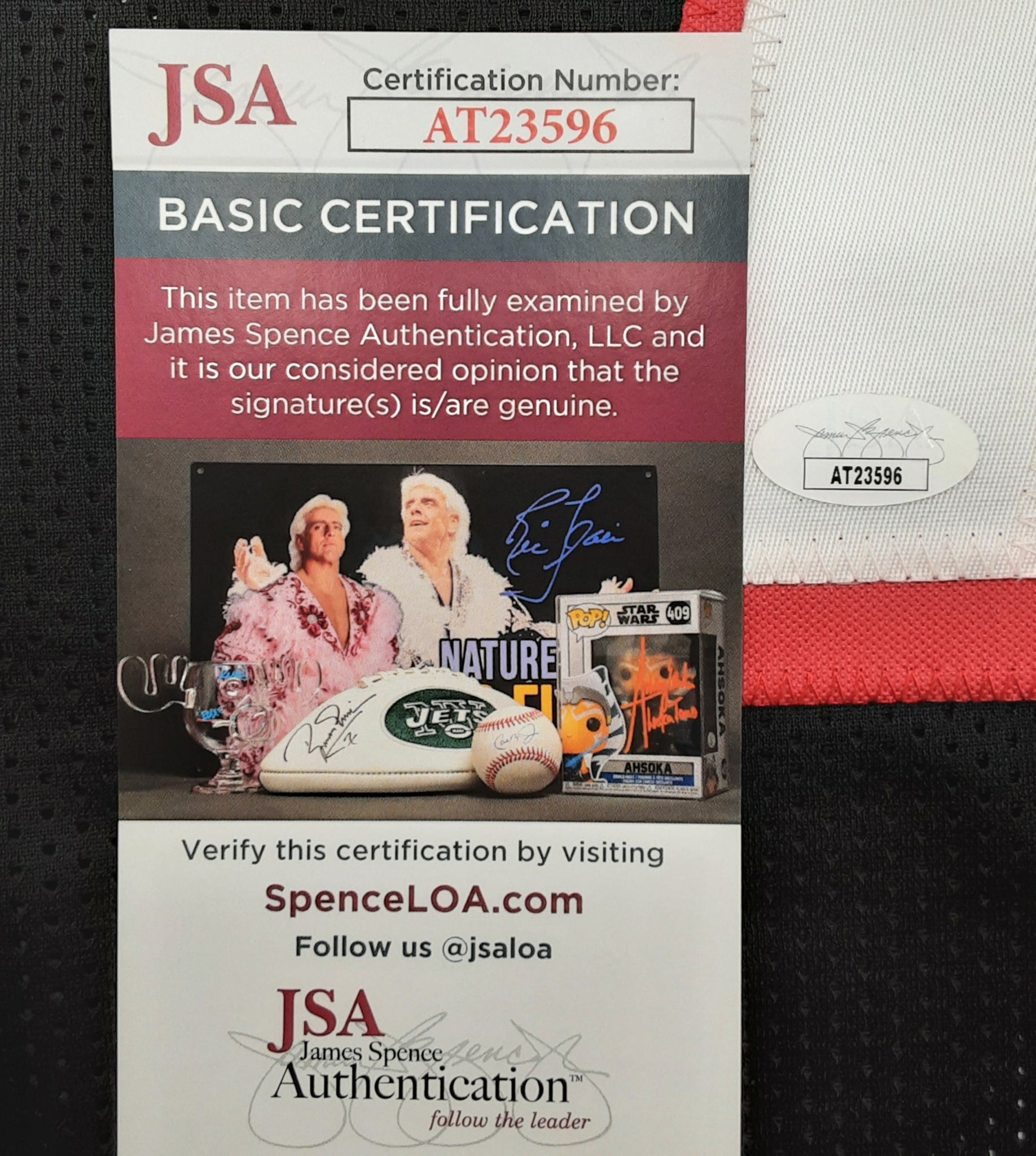 Michael Vick Authentic Signed Pro Style Jersey Autographed JSA R1