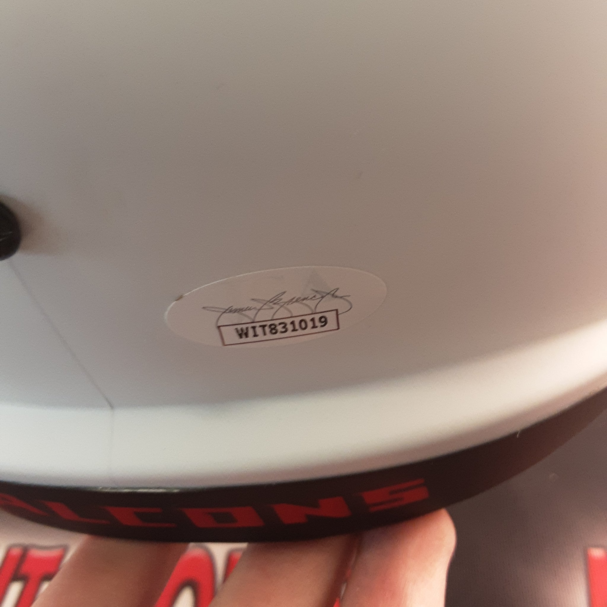 Michael Vick Authentic Signed Autographed Full-size Replica Helmet JSA