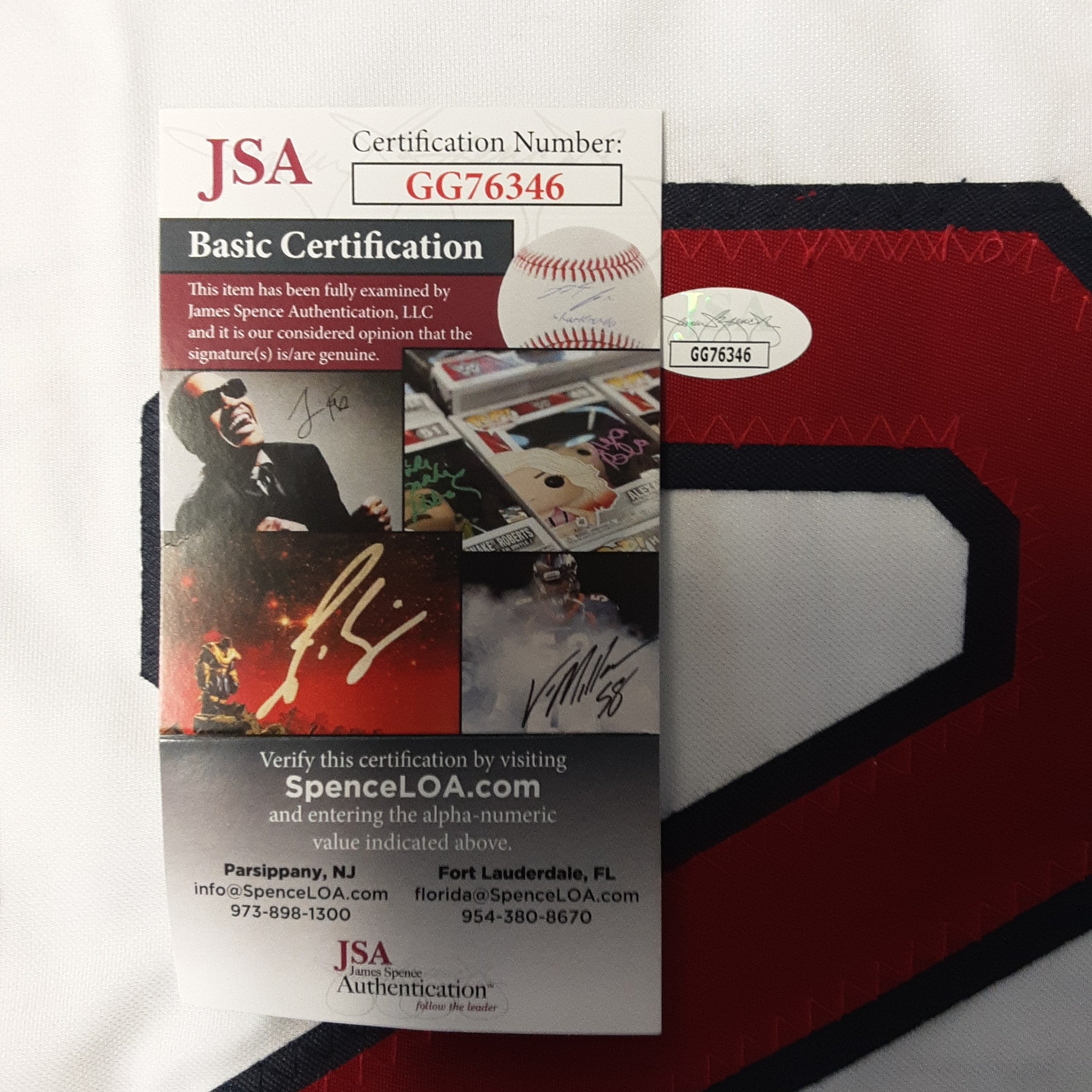 Carlton Fisk Authentic Signed Pro Style Jersey Autographed JSA