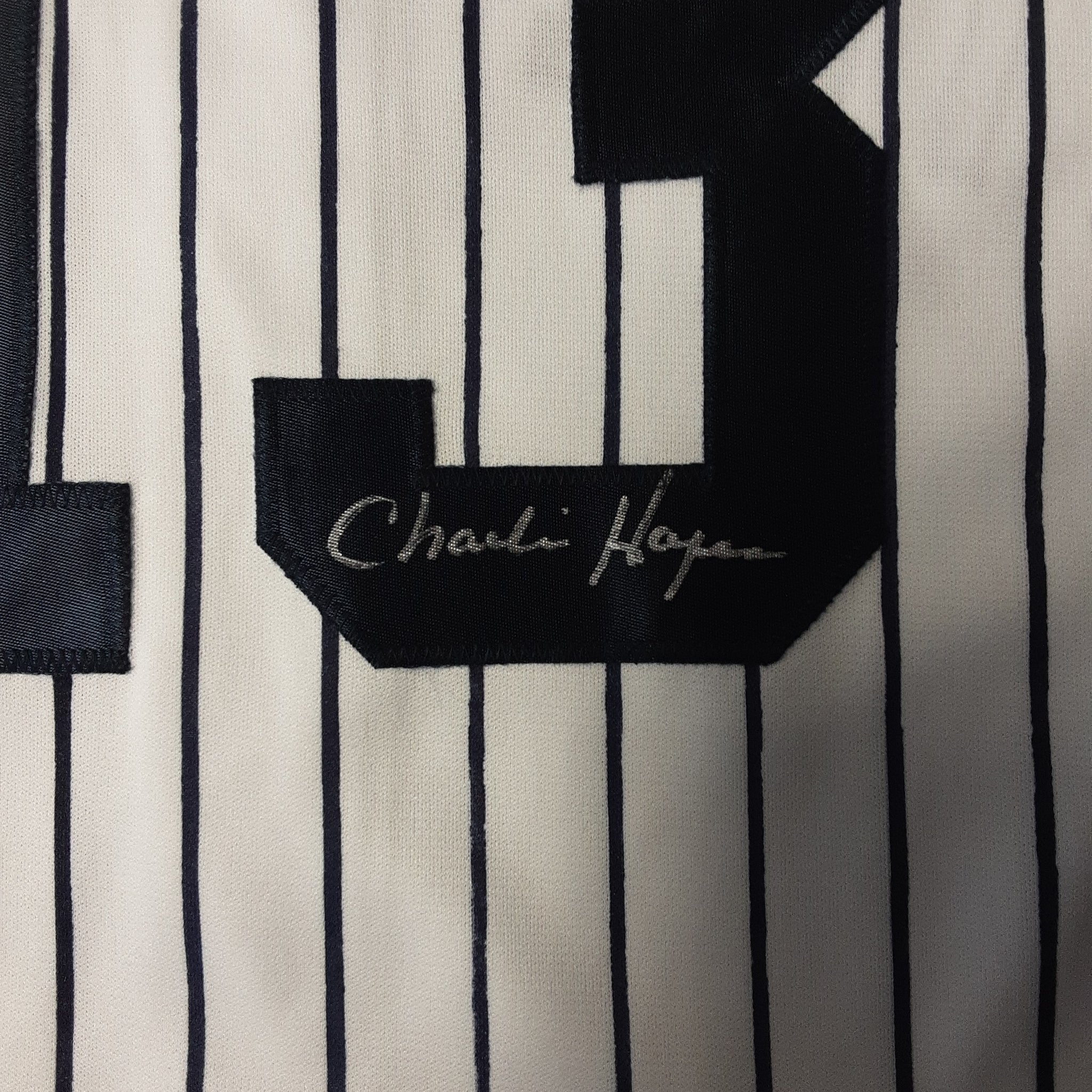 Charlie Hayes Authentic Signed Pro Style Jersey Autographed JSA-