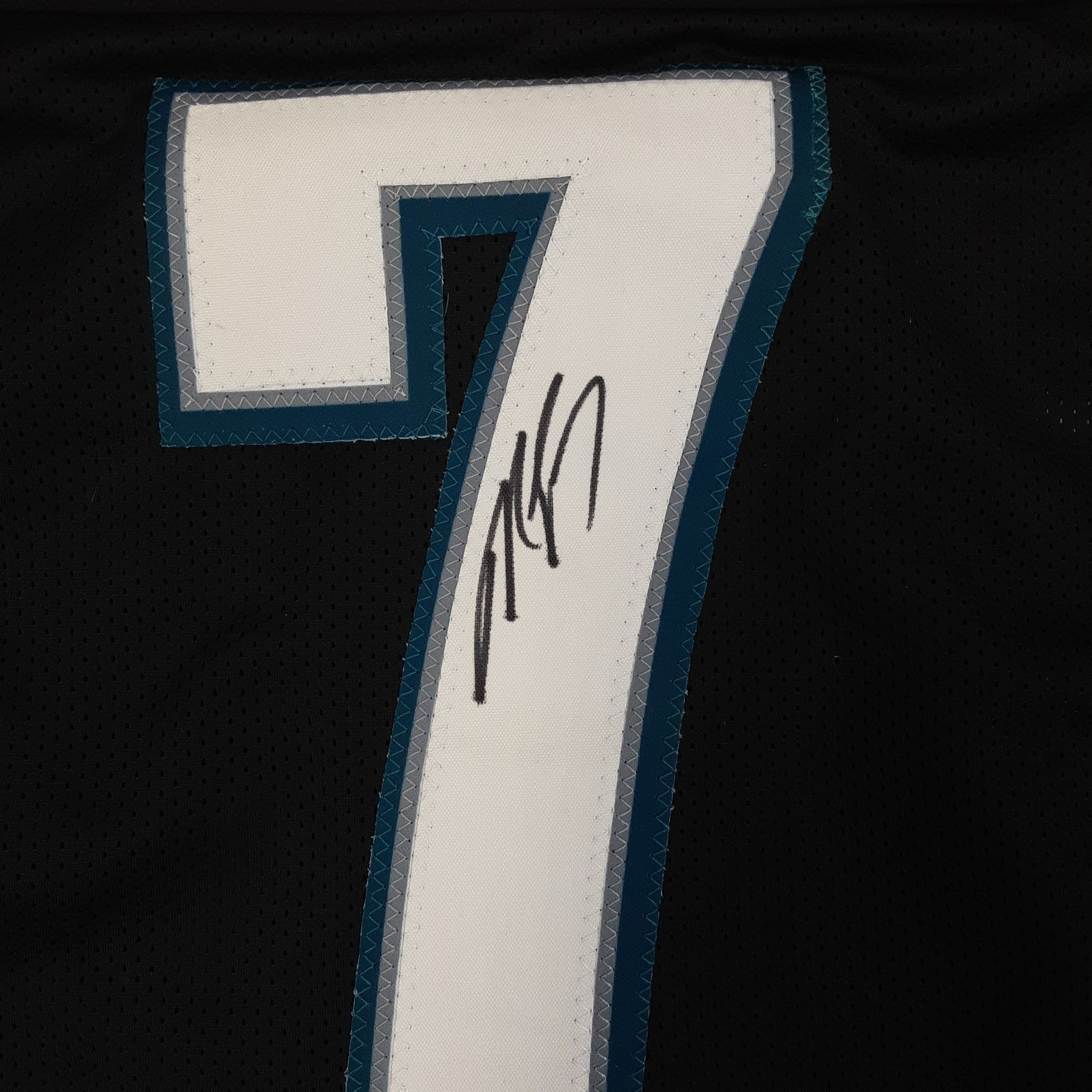 Michael Vick Authentic Signed Pro Style Jersey Autographed JSA-