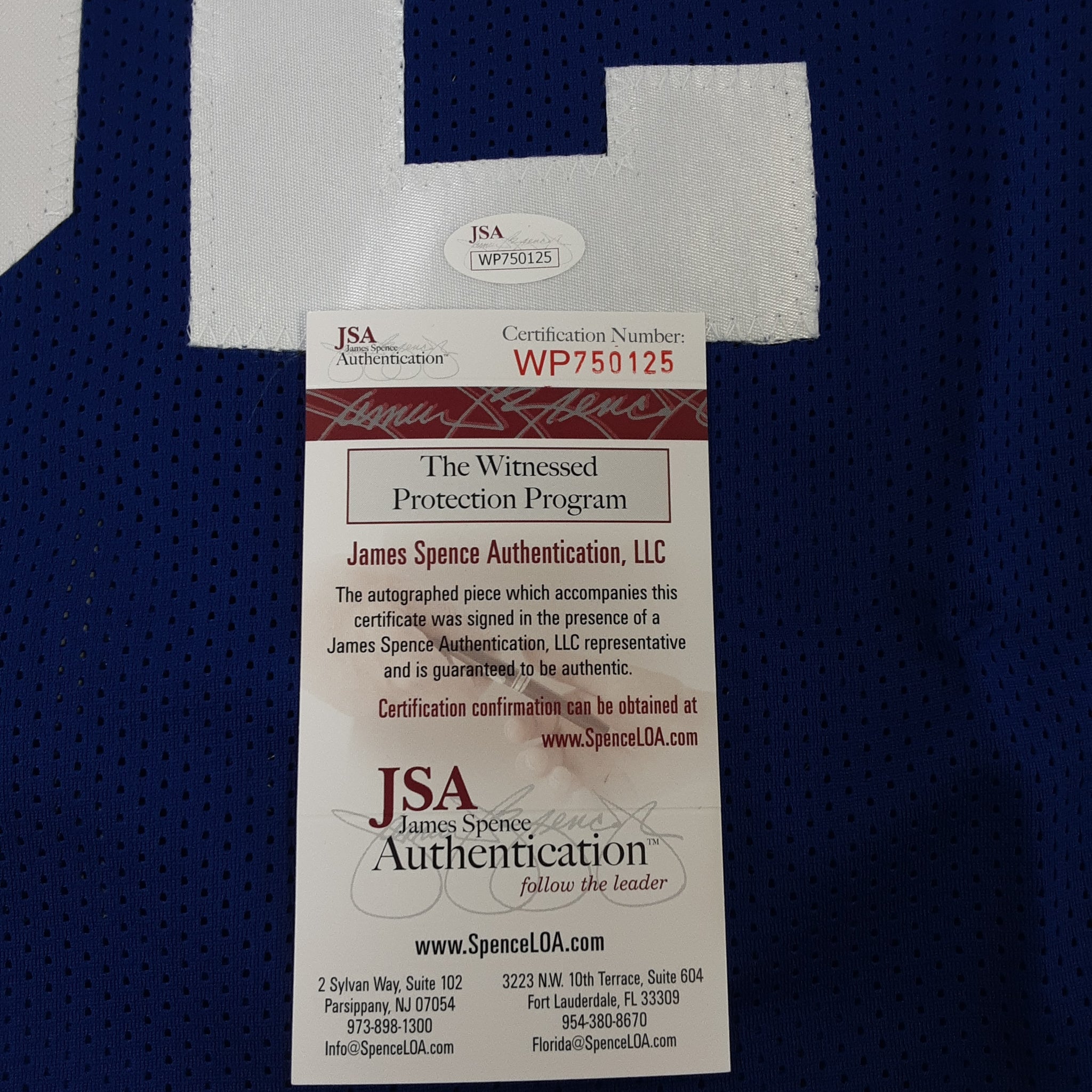 Christian Laettner Authentic Signed Pro Style Jersey Autographed JSA