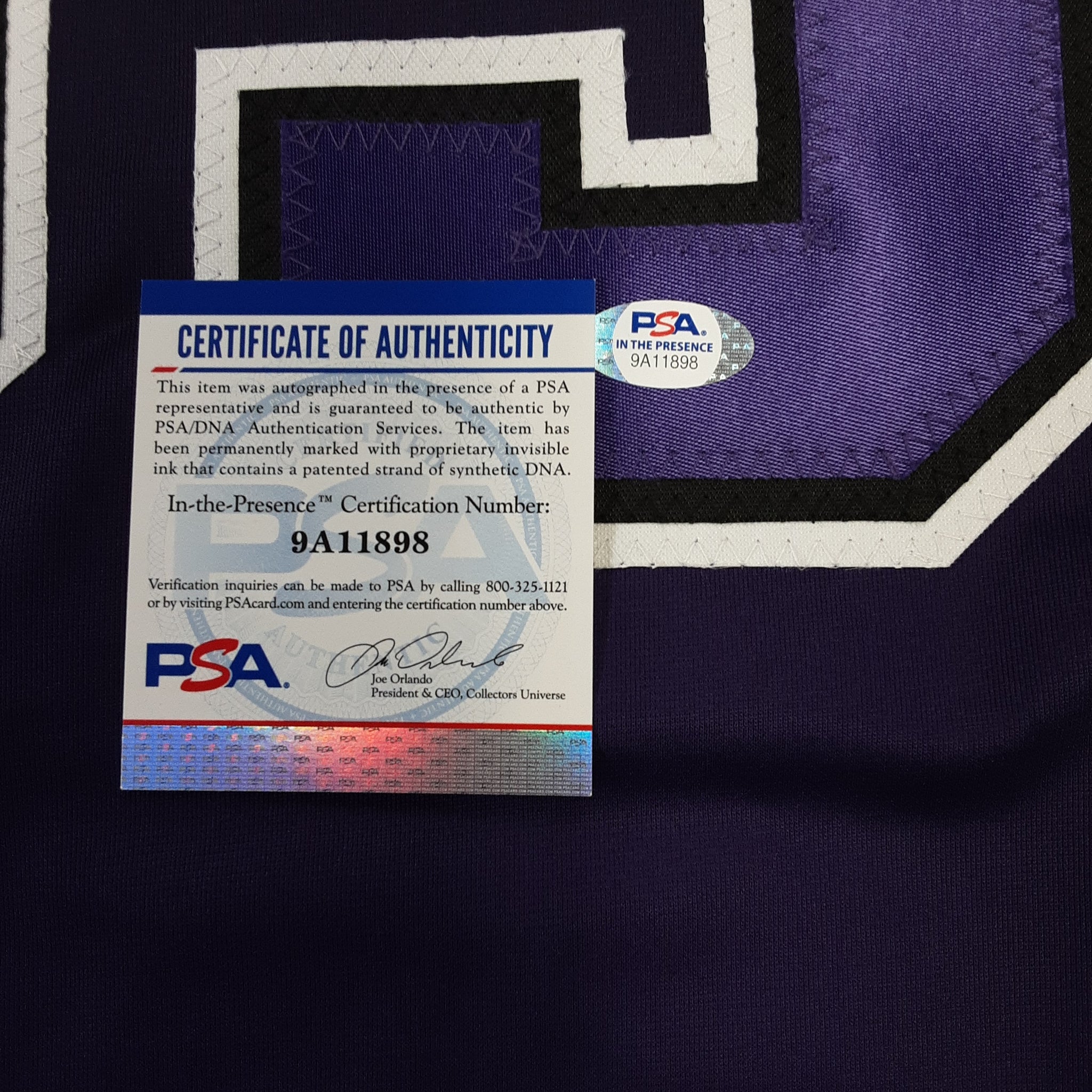 Jason Williams Authentic Signed Pro Style Jersey Autographed PSA DNA-