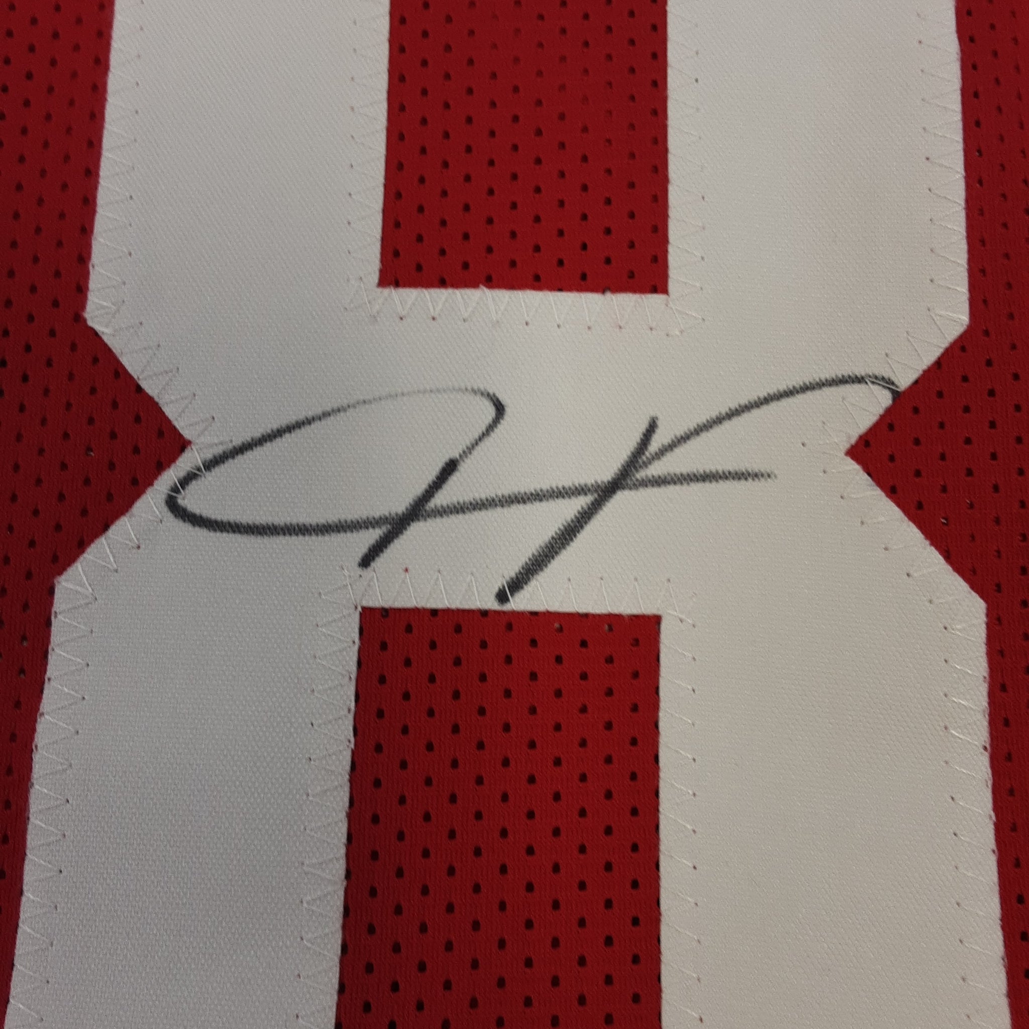 Vernon Davis Signed Jersey (JSA)