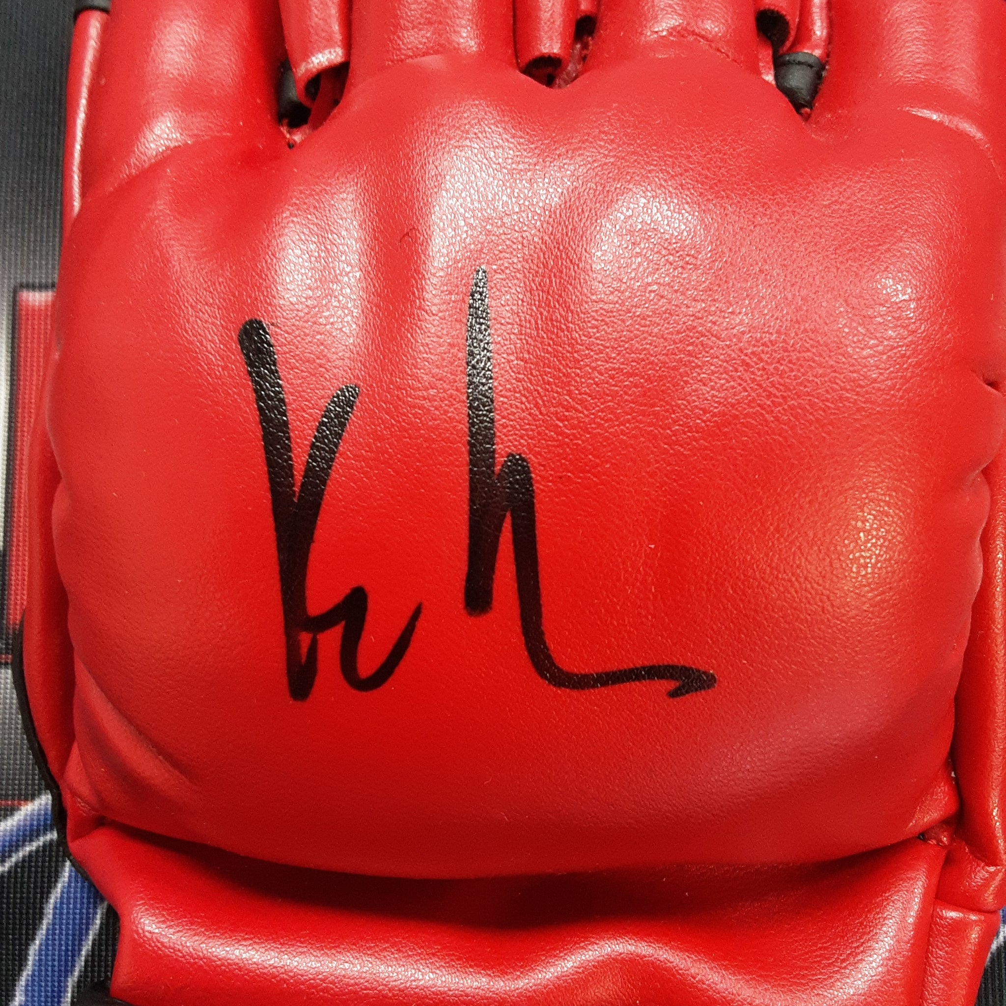 Kyle Herbert Authentic Signed Autographed Street Fighter Glove JSA-